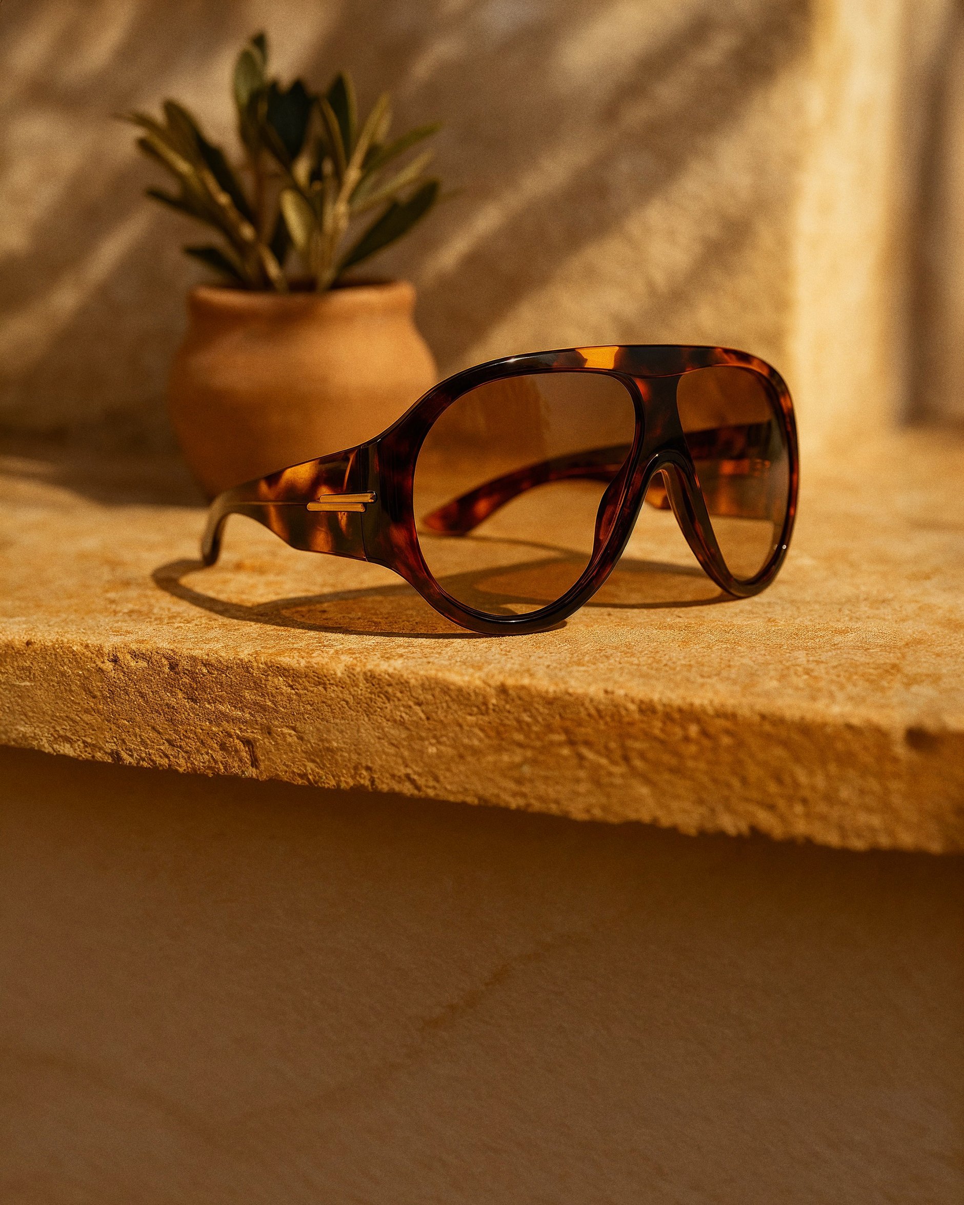 Close-up of tortoiseshell sunglasses resting on a wooden surface with a small clay pot with green foliage in the background.