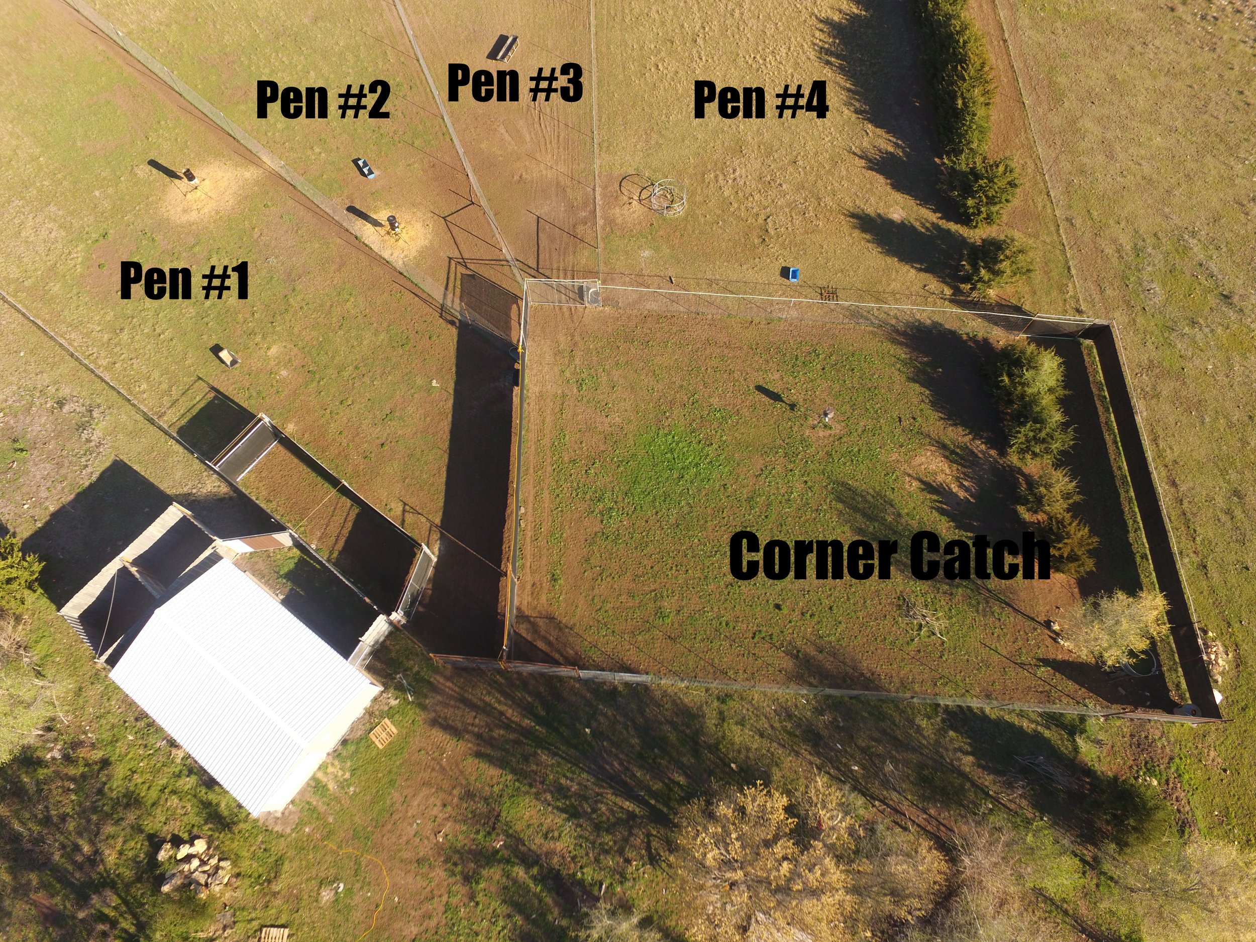 Check out our Youtube Channel too