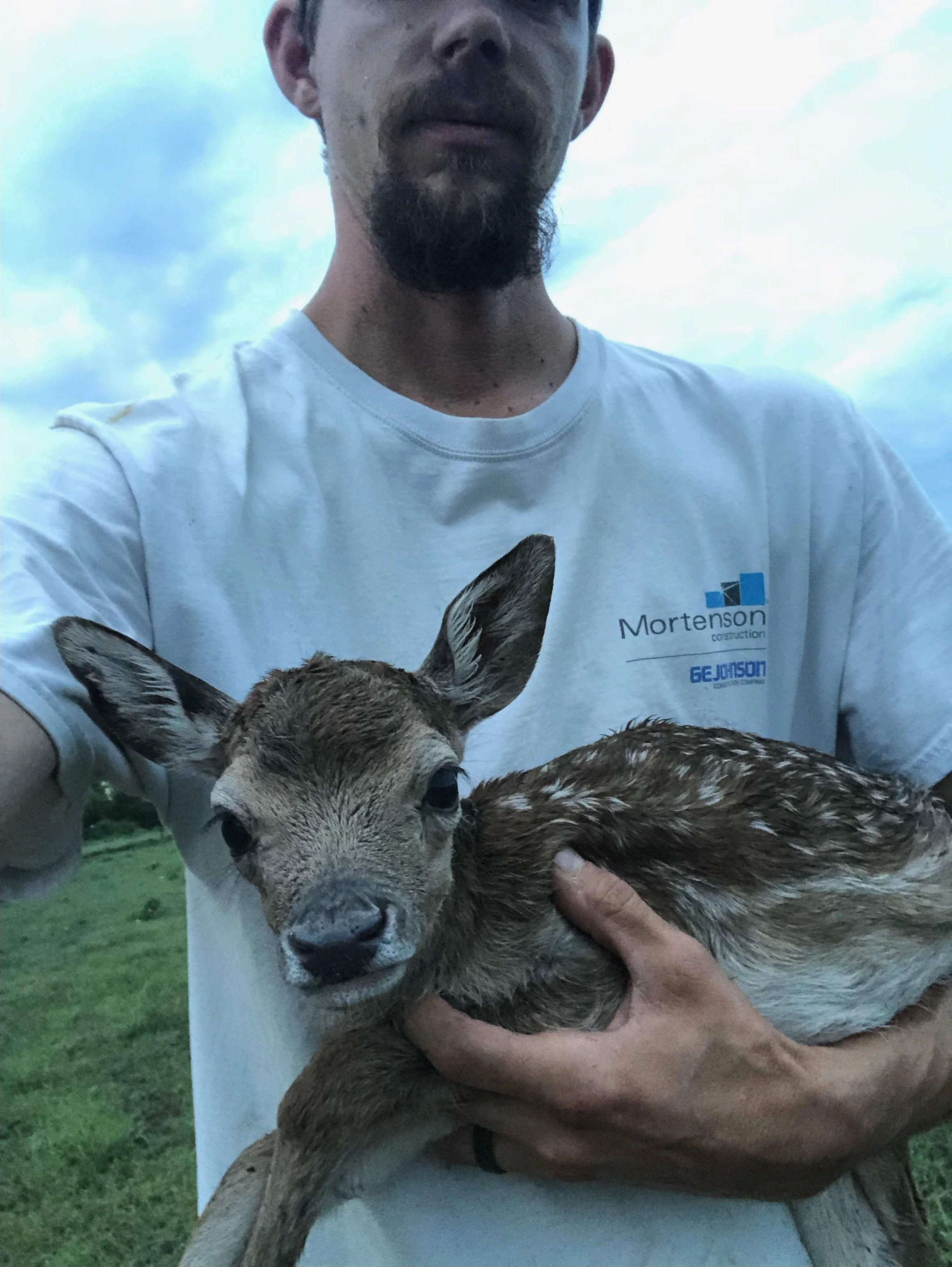 Time to Wean the Fawns