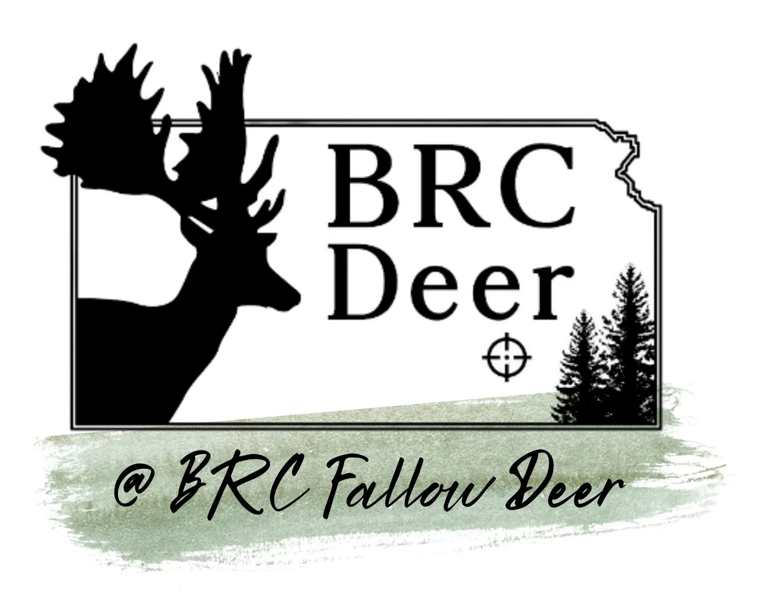 We are on Youtube too!