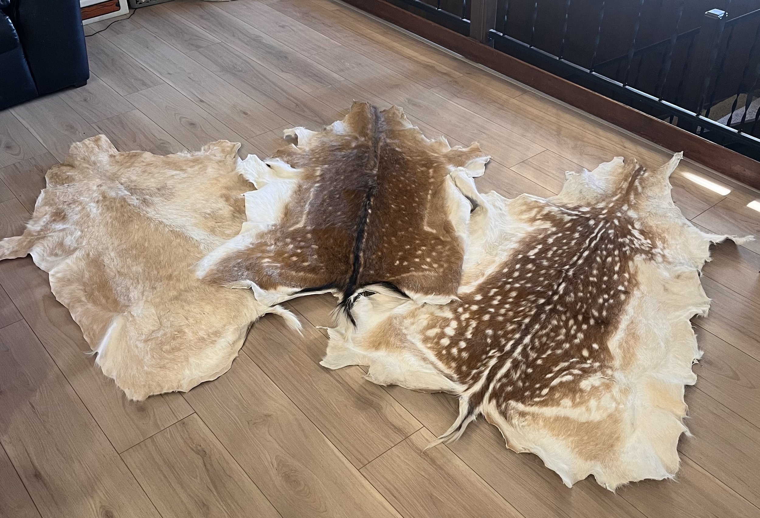 Fallow Deer Hide Designs