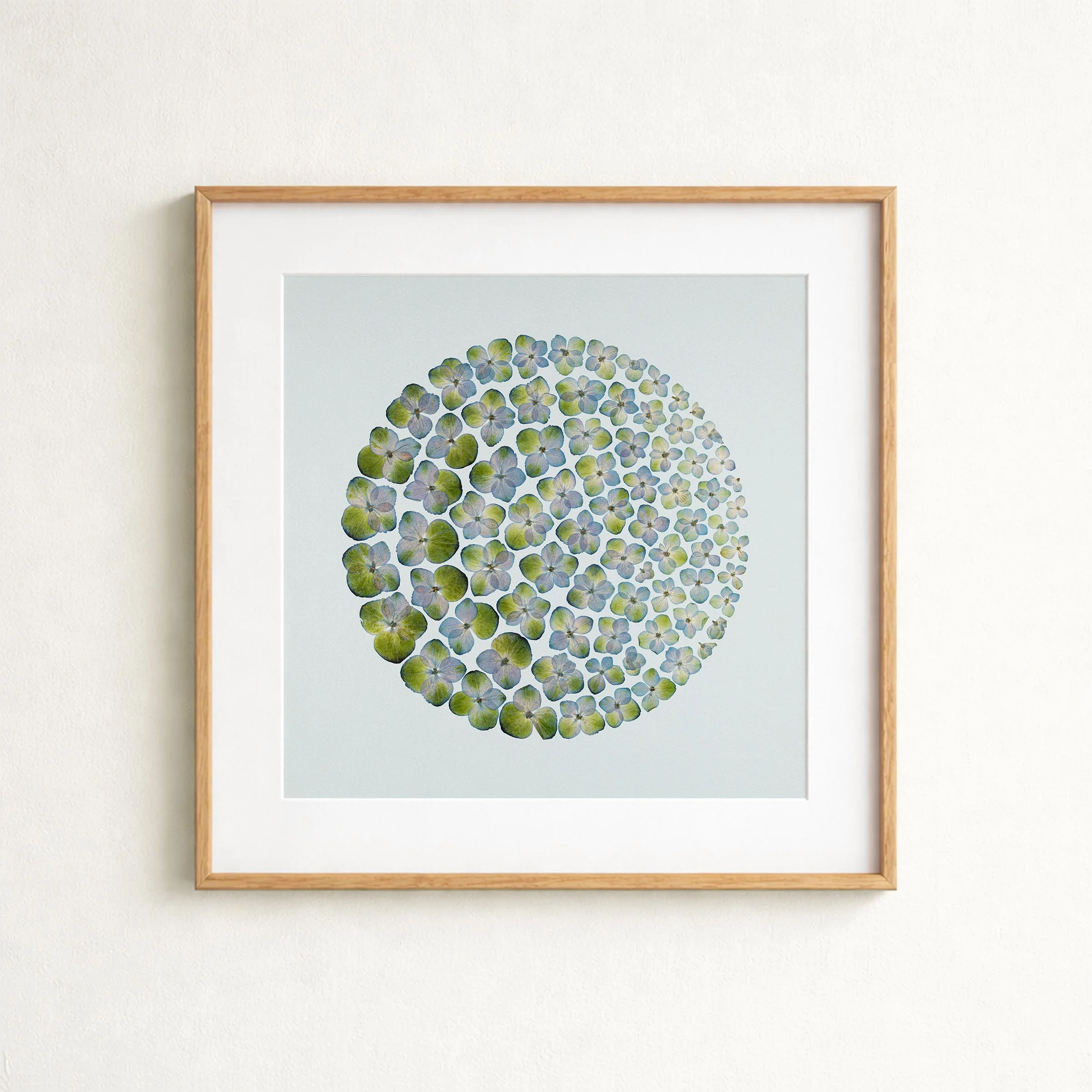 3 - Hydrangea drift - With mat.jpg