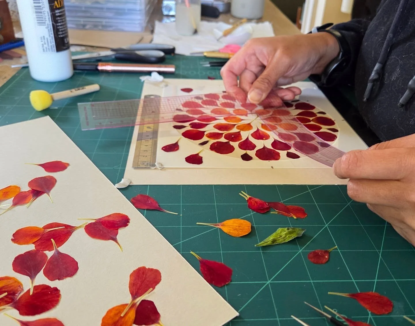 Worked on a new piece today, excited to show the whole process soon from seed to art. 🌱 
.
.
.
.
.
.
.
.
.
.
#flowerpressing #pressedflowerart #erysimum