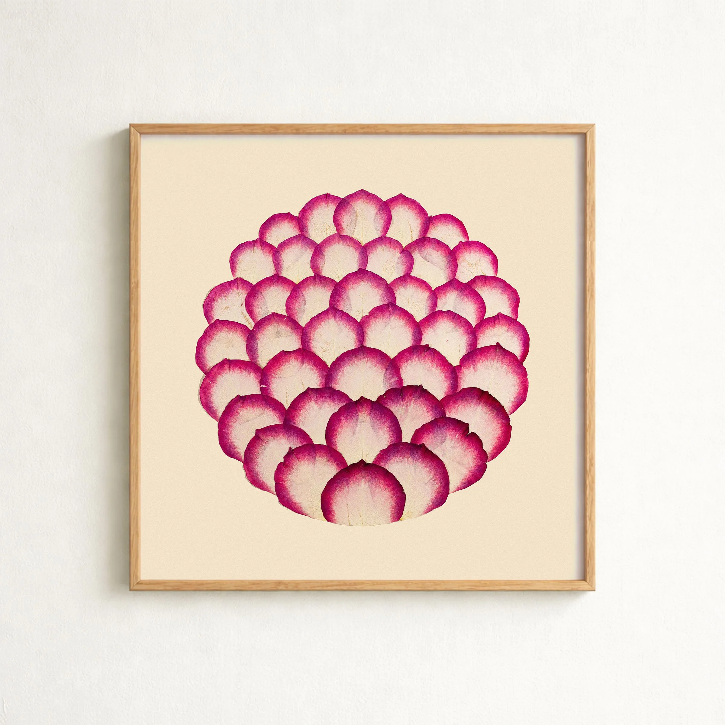 Sweetness Rose — Print
