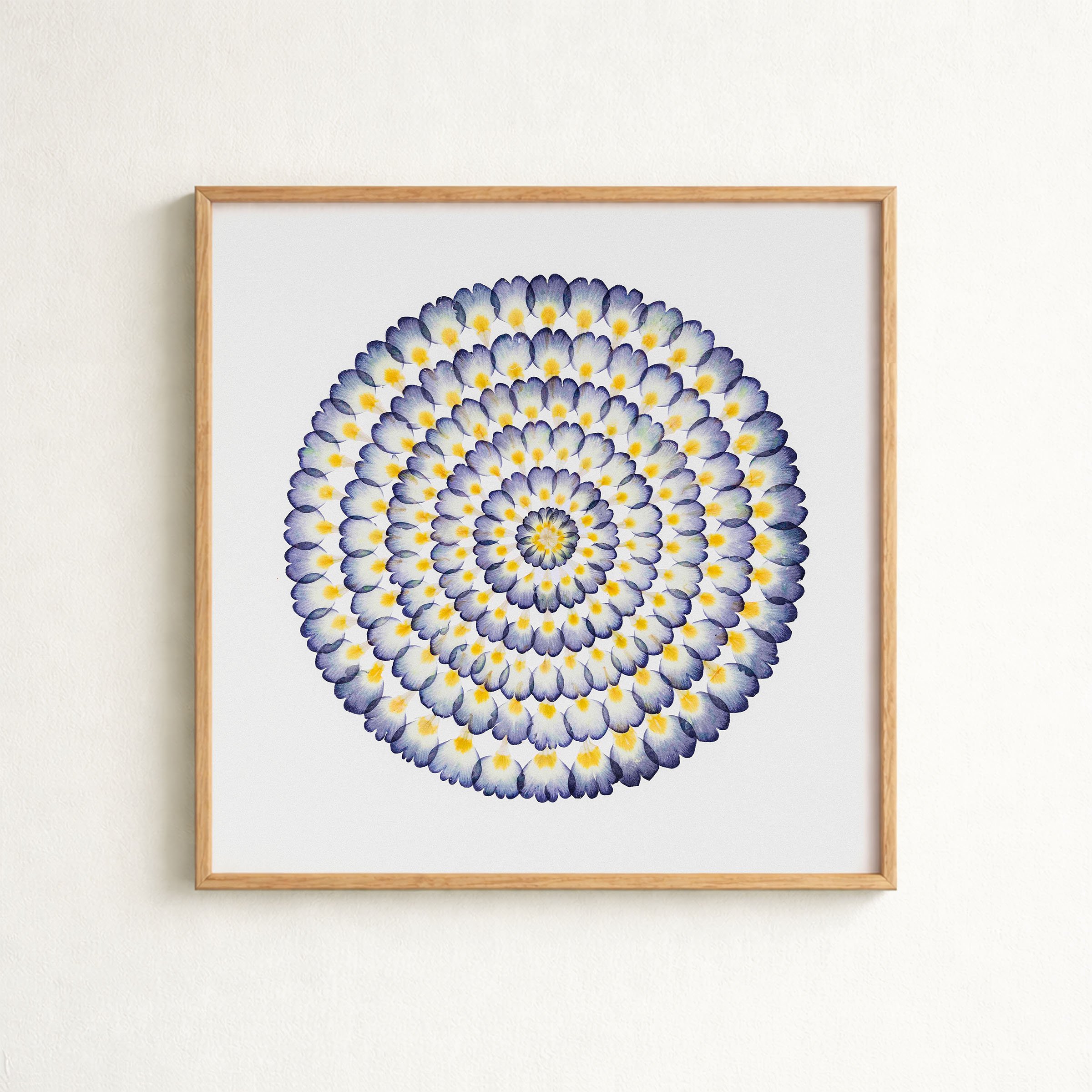 mockup-primrose-nomat.jpg