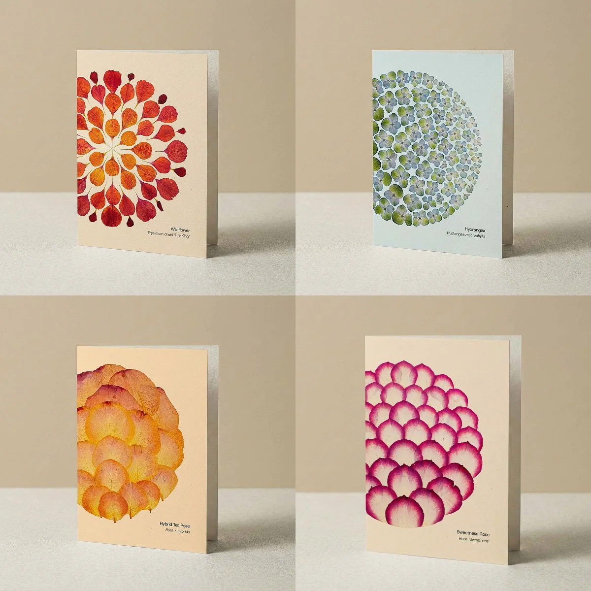 Botanical Greeting Cards