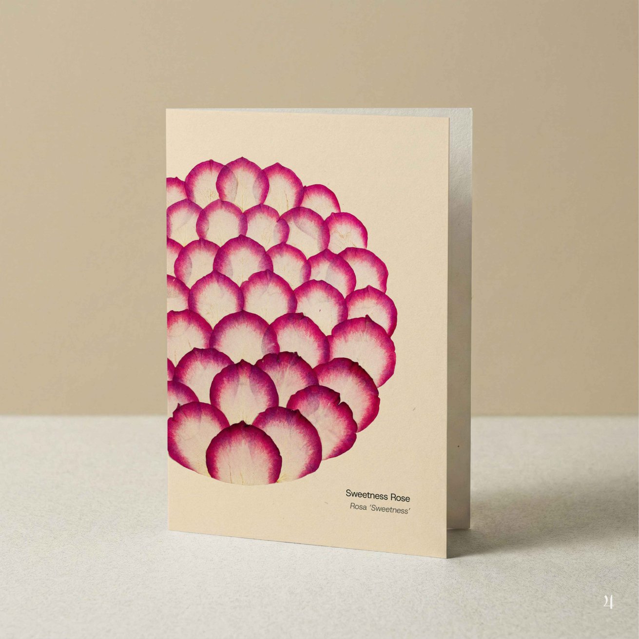 Florascopic-card-A6-4-Pink_rose.jpg