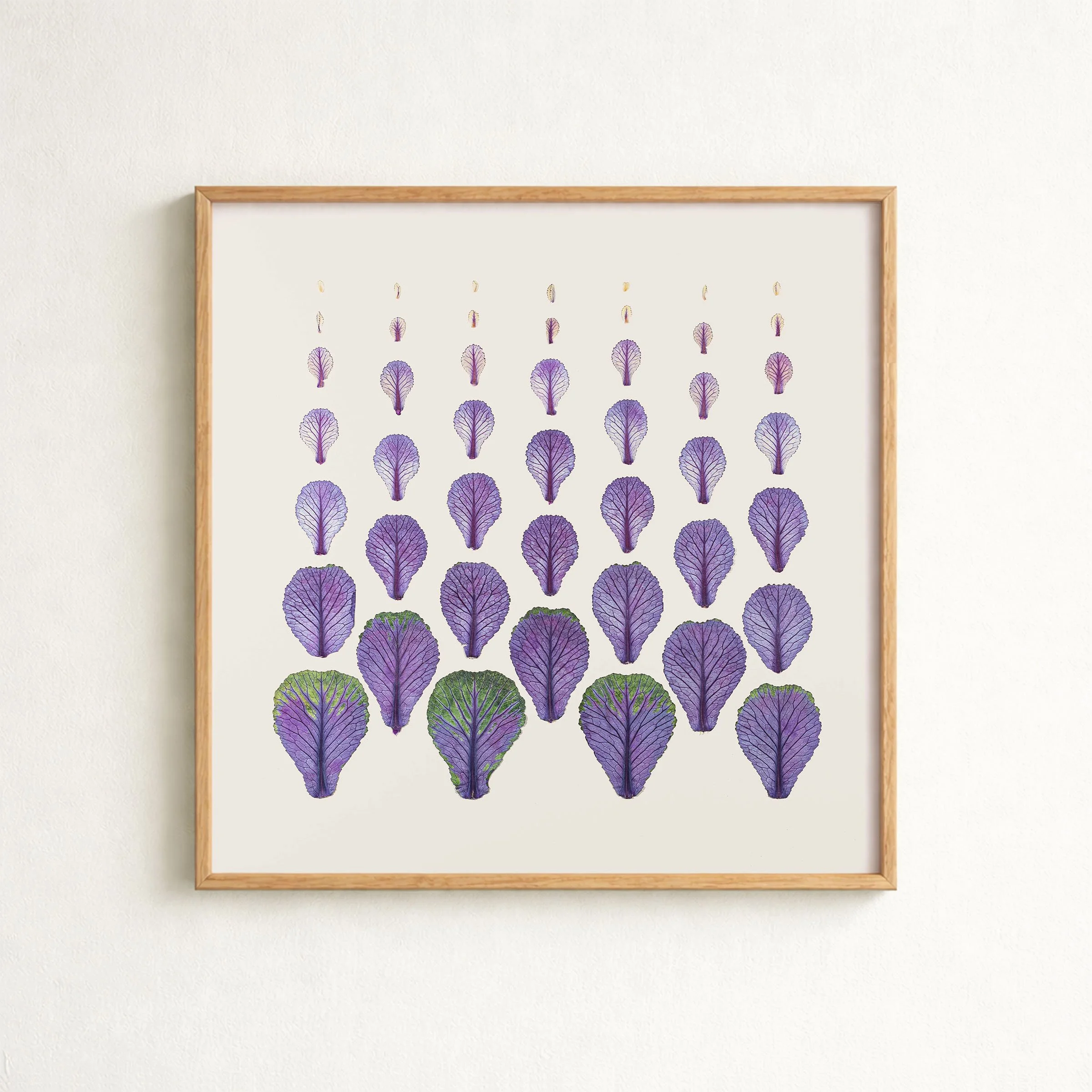 Brassica Forest — Print