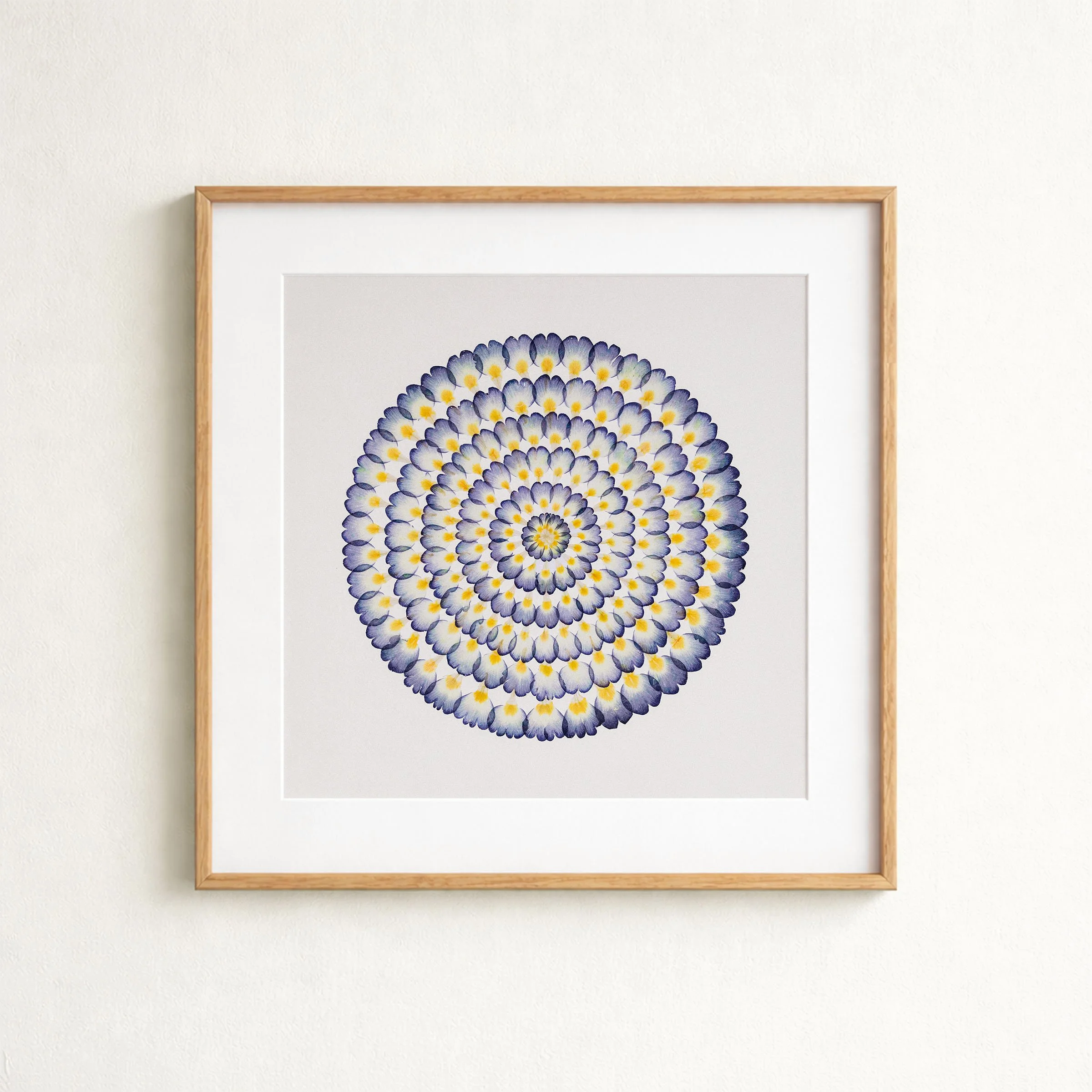 mockup-primrose-withmat.jpg