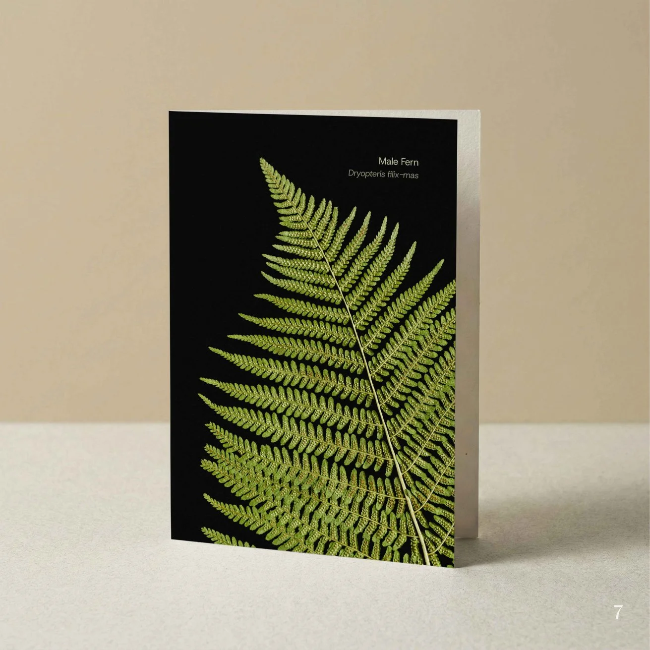 Florascopic-card-A6-7-Fern.jpg