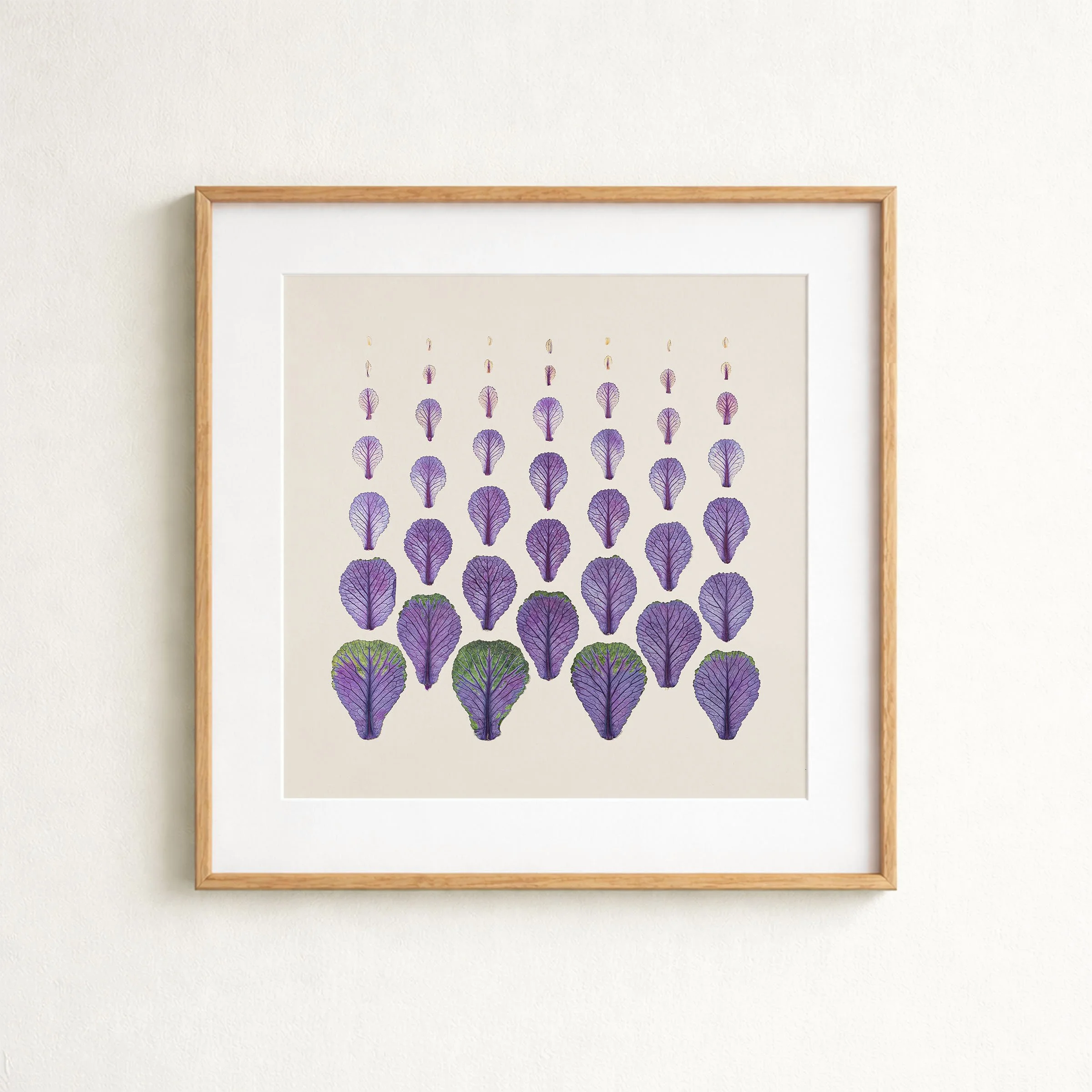 mockup-brassica-withmat.jpg