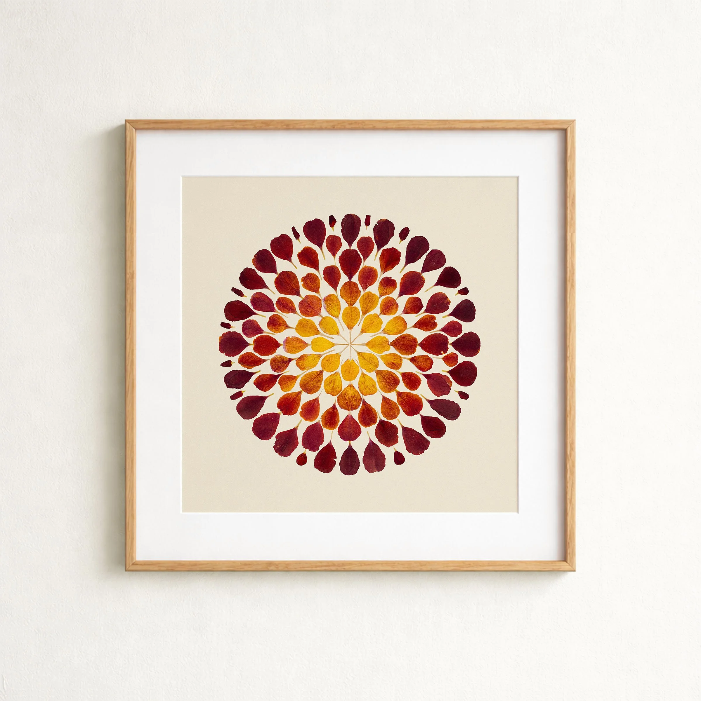 mockup-erysimum-withmat.jpg