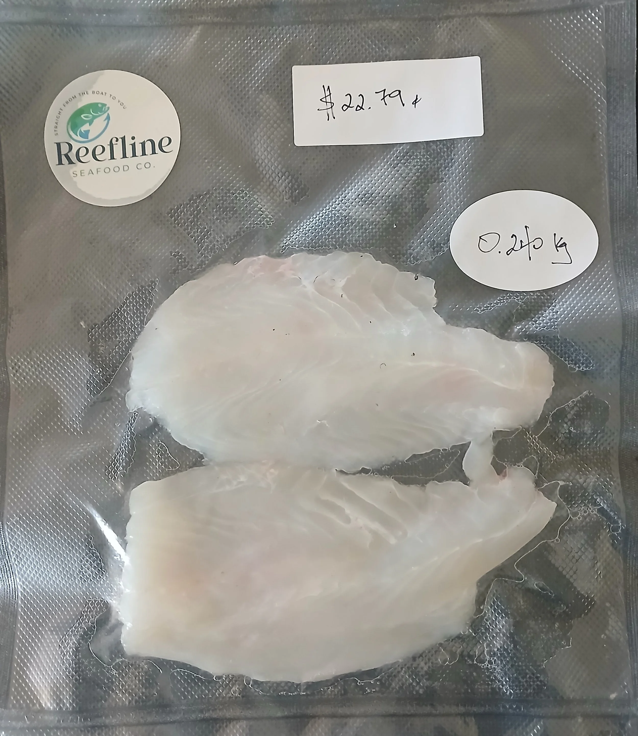 Coral Trout Fillets - 0.240kg