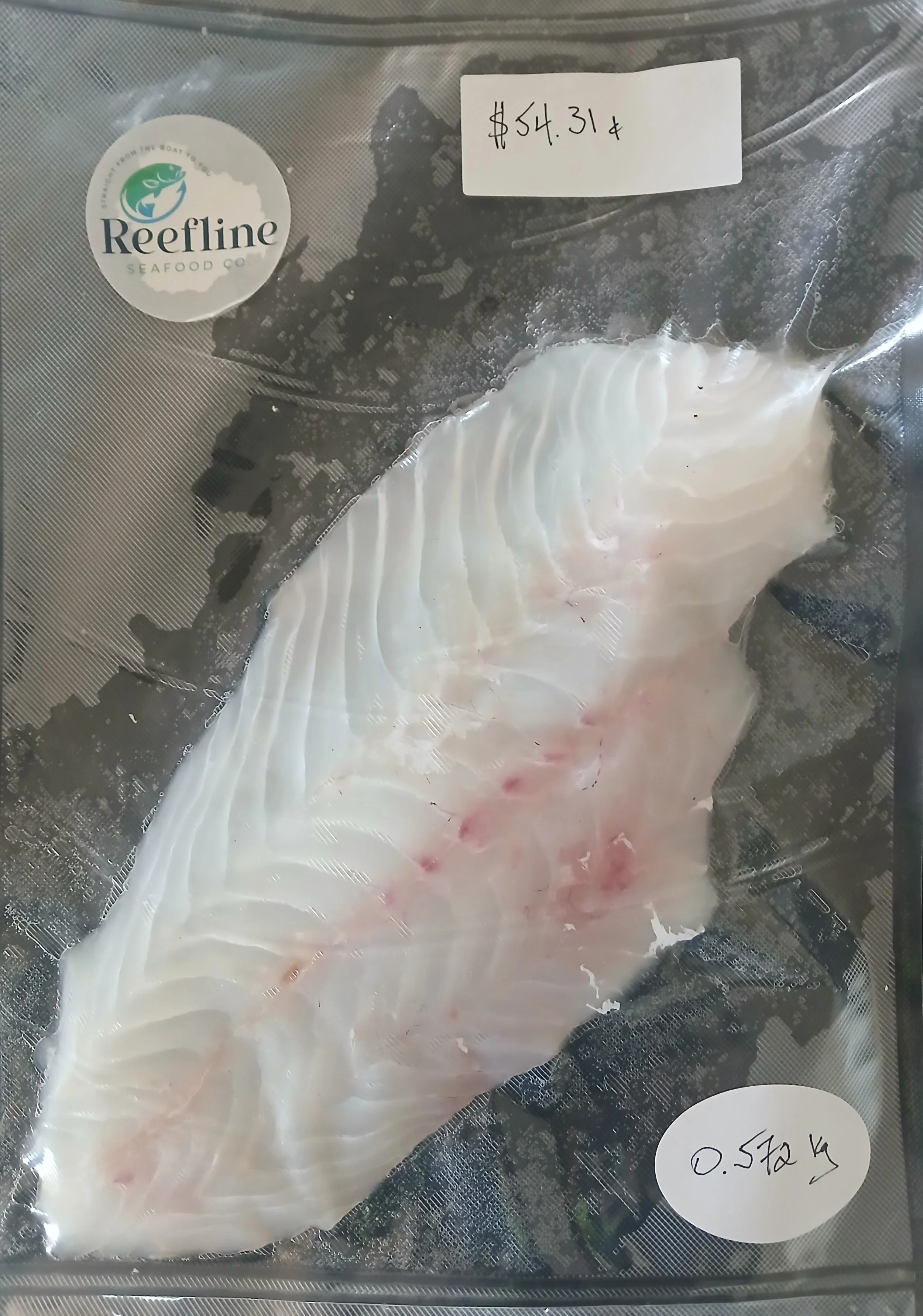 Coral Trout Fillet - 0.572kg