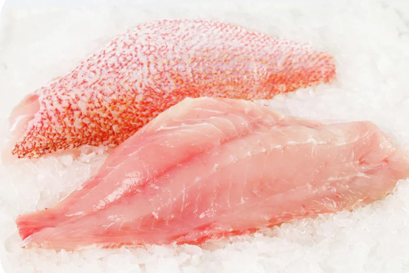 Saddletail Snapper Fillets - Value Pack 3kg