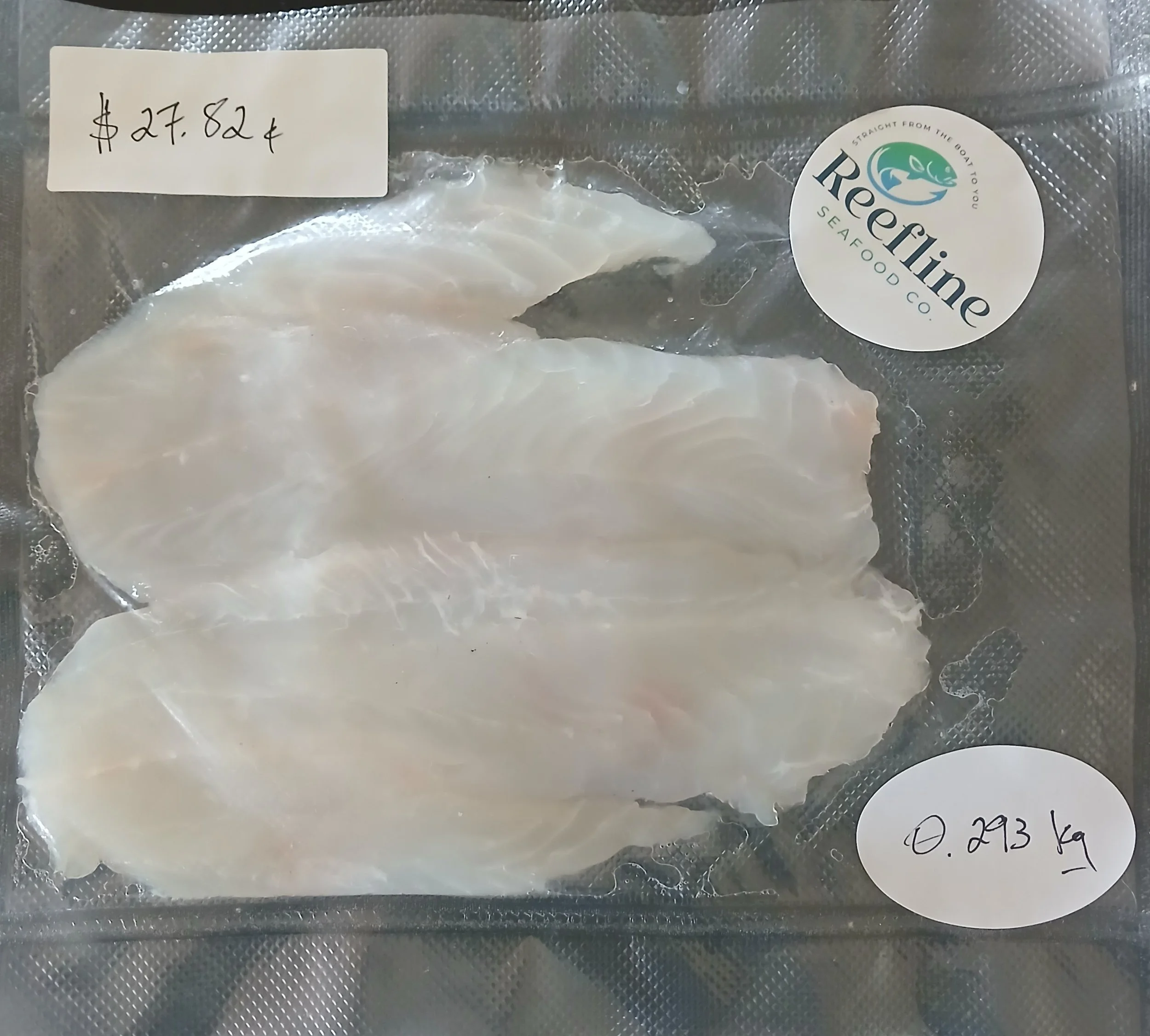 Coral Trout Fillets - 0.533kg