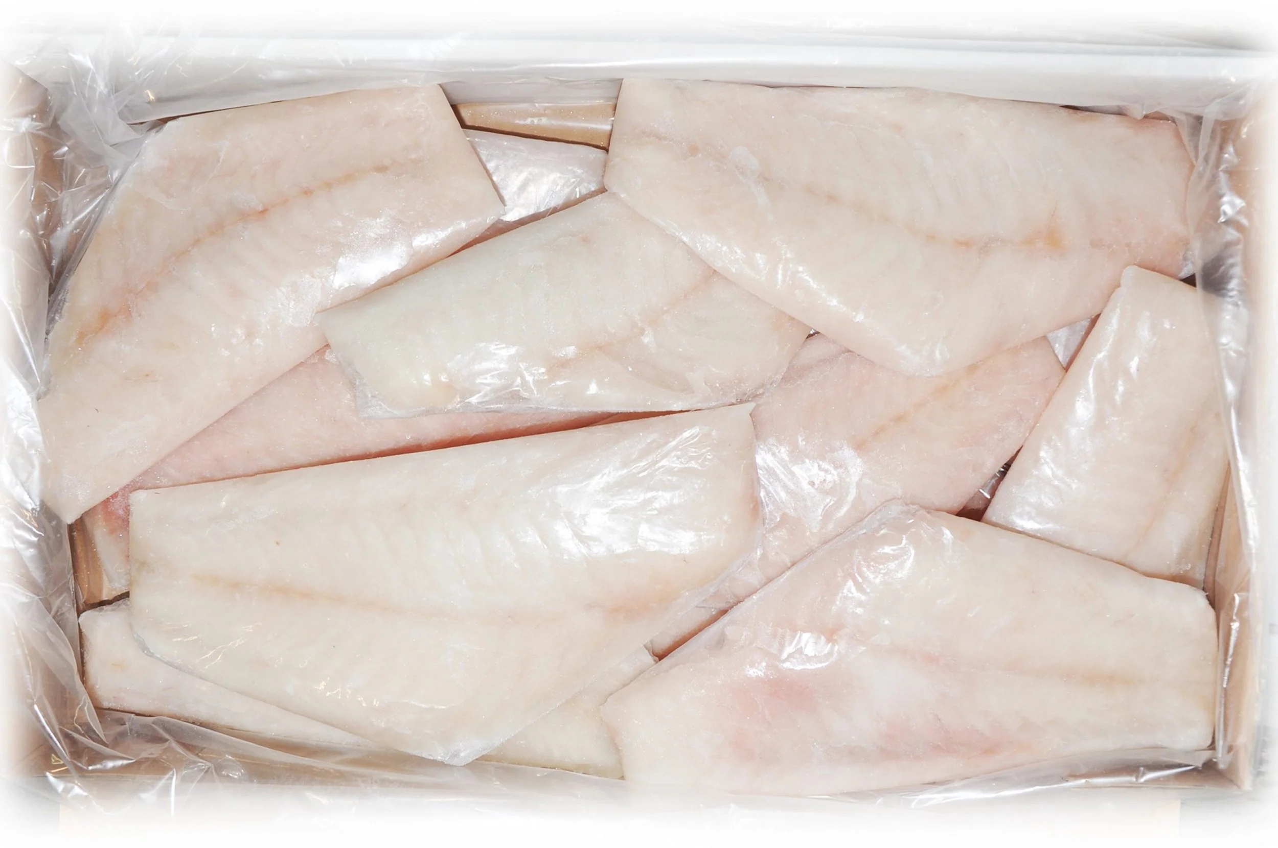Premium Pack Fillets - Coral Trout, Red Emperor, Saddletail Snapper x 1kg of ea.