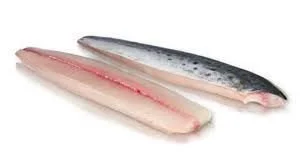 Spanish Mackeral - Fillets - 1kg