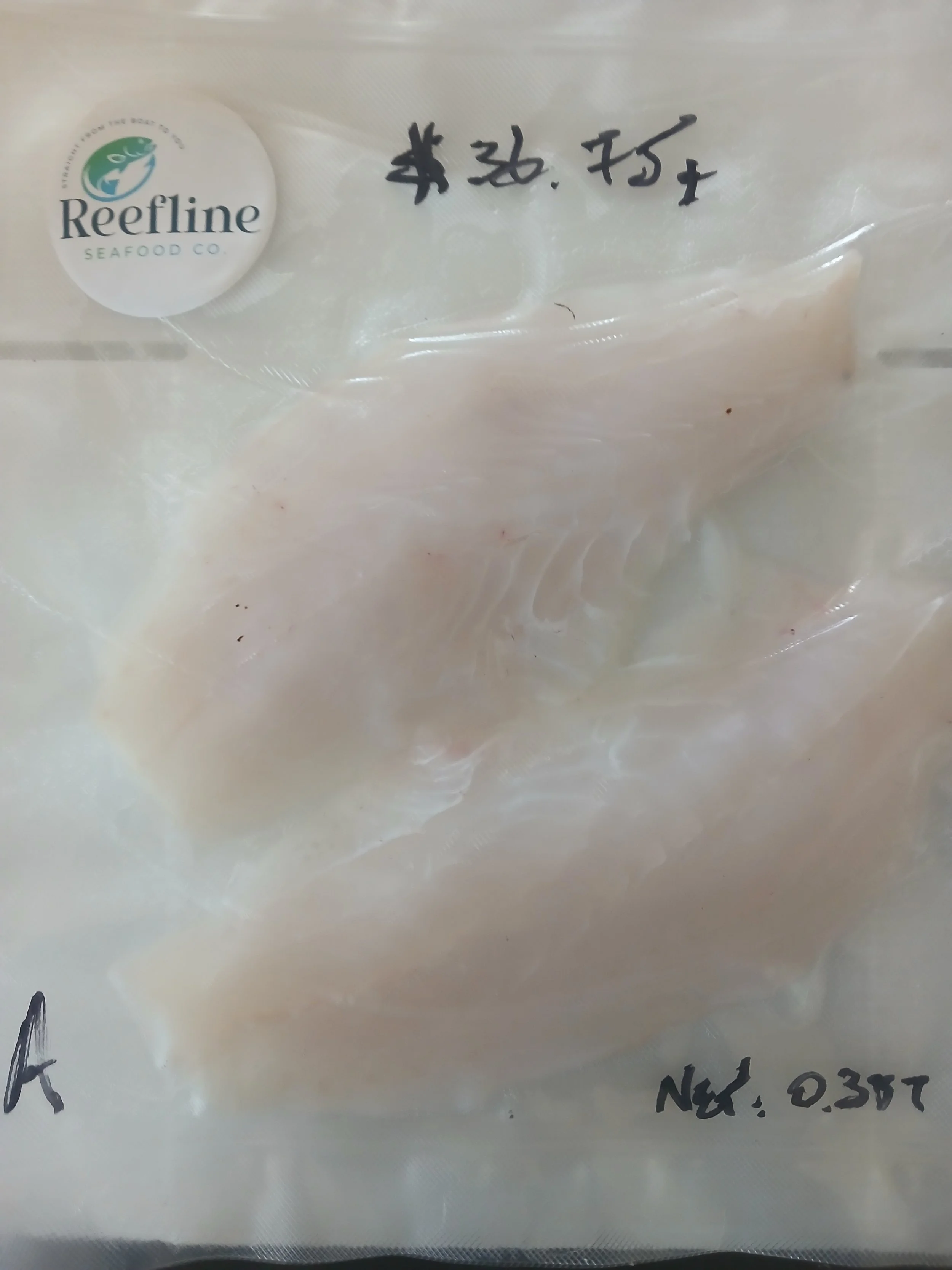 Coral Trout Fillets - 0.739kg