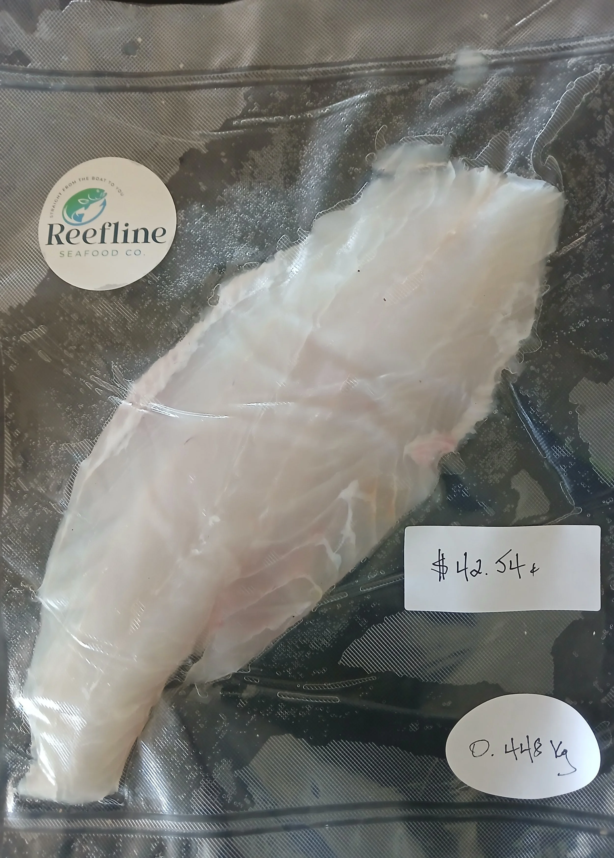 Coral Trout Fillet - 0.448kg