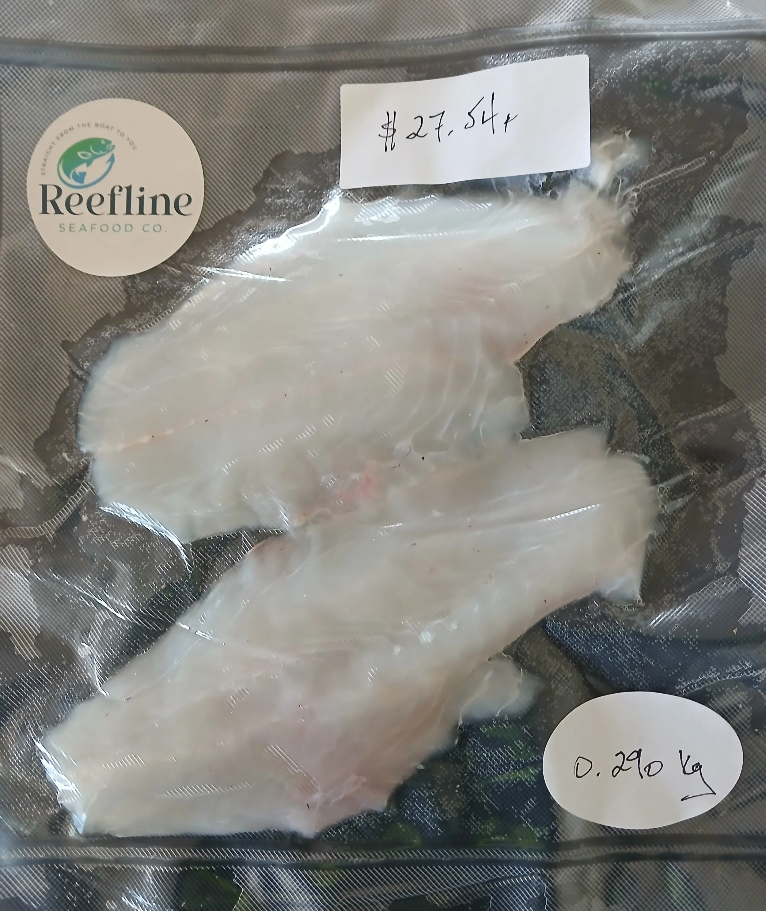 Coral Trout Fillets - 0.290kg