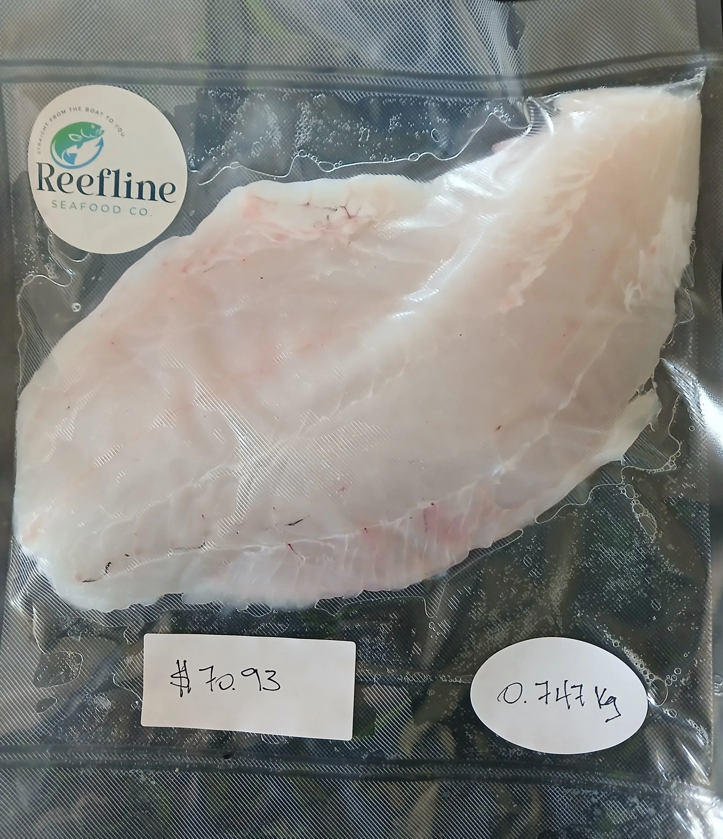 Coral Trout Fillet - 0.747kg