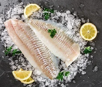 Coral Trout Fillets x 2 - 325gm