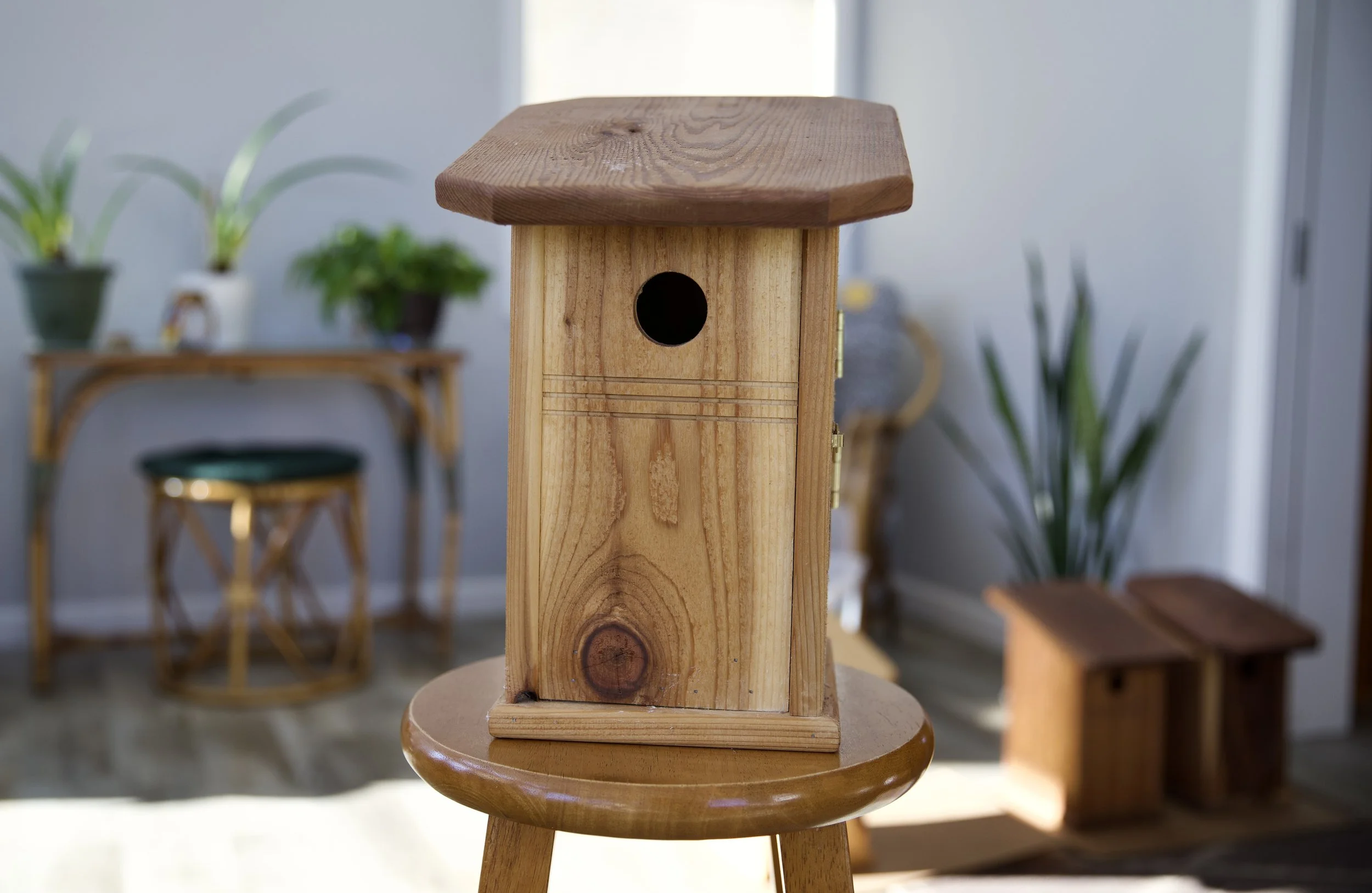 Bluebird_House_Cedar_Front.jpeg