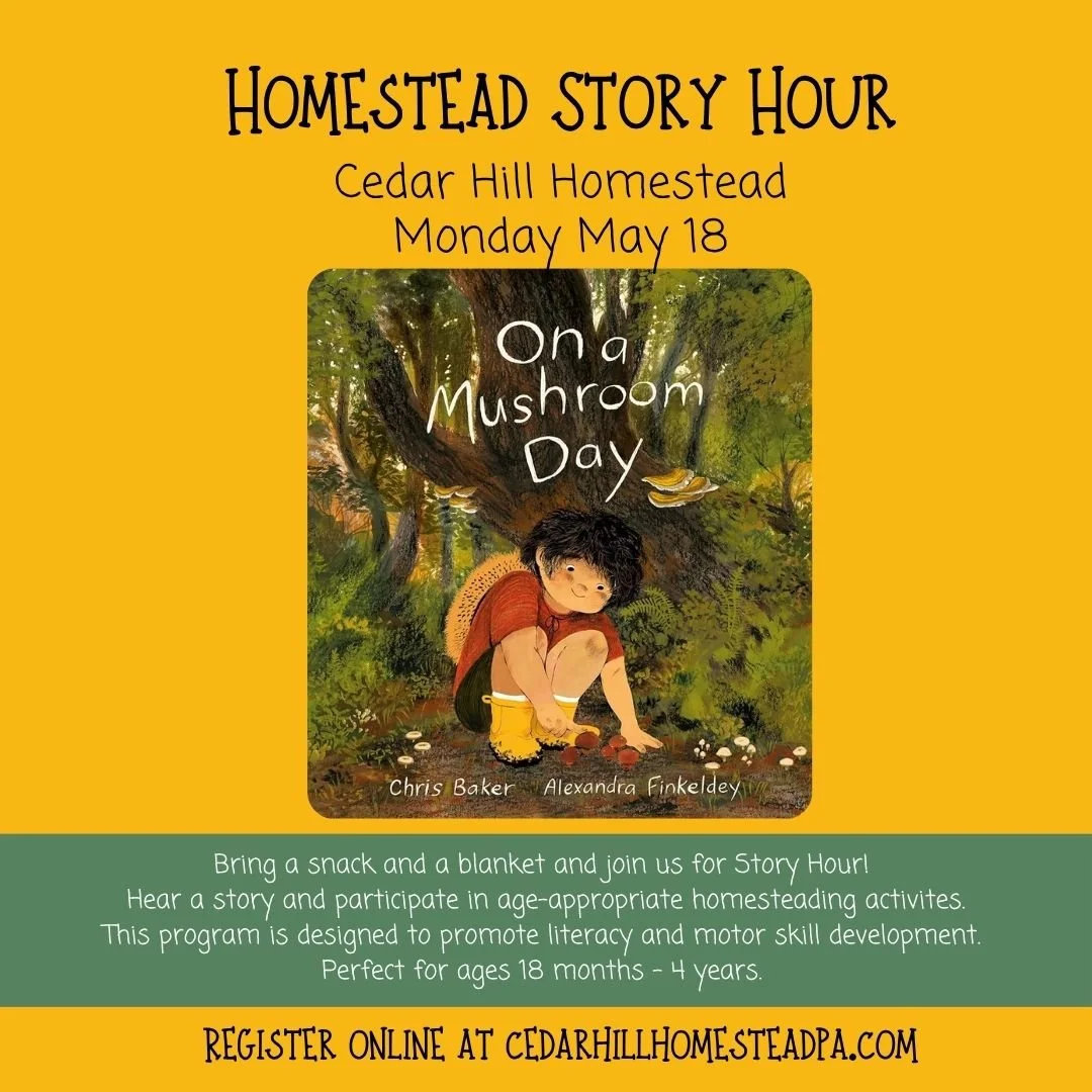 june 2026 story hour.jpg