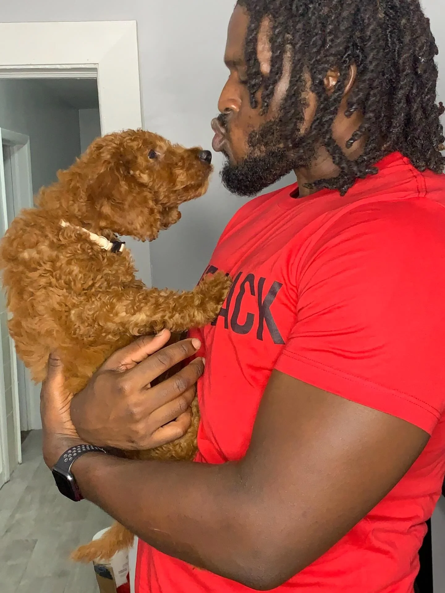 Tribute to Ginger aka The Joyous Warrior aka &ldquo;The People&rsquo;s Dog&rdquo;: April 19, 2021, to February 2, 2026.

The last six months have been filled with immense change, transformation, and self-discovery for me - both personally and profess