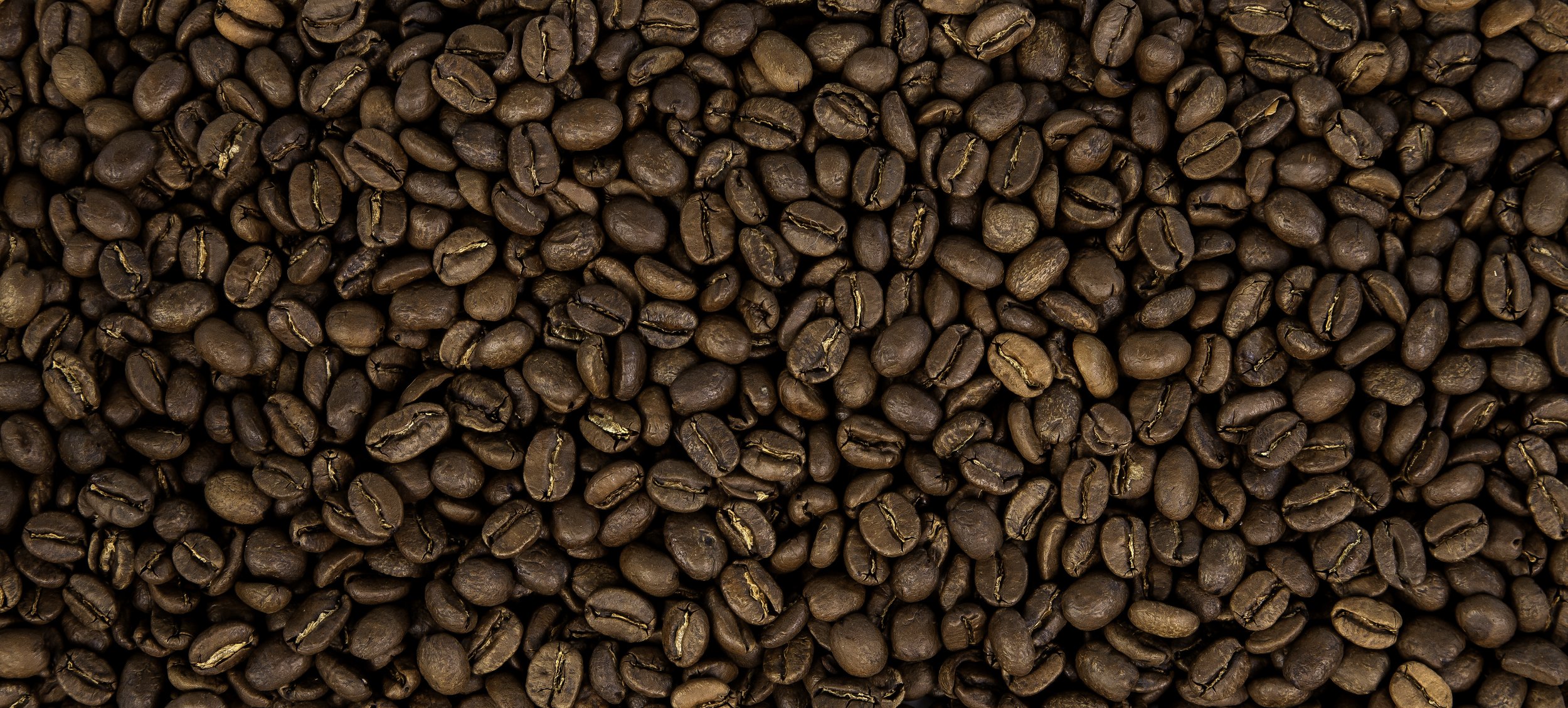 OB Photoshoot 6-19-145.jpg