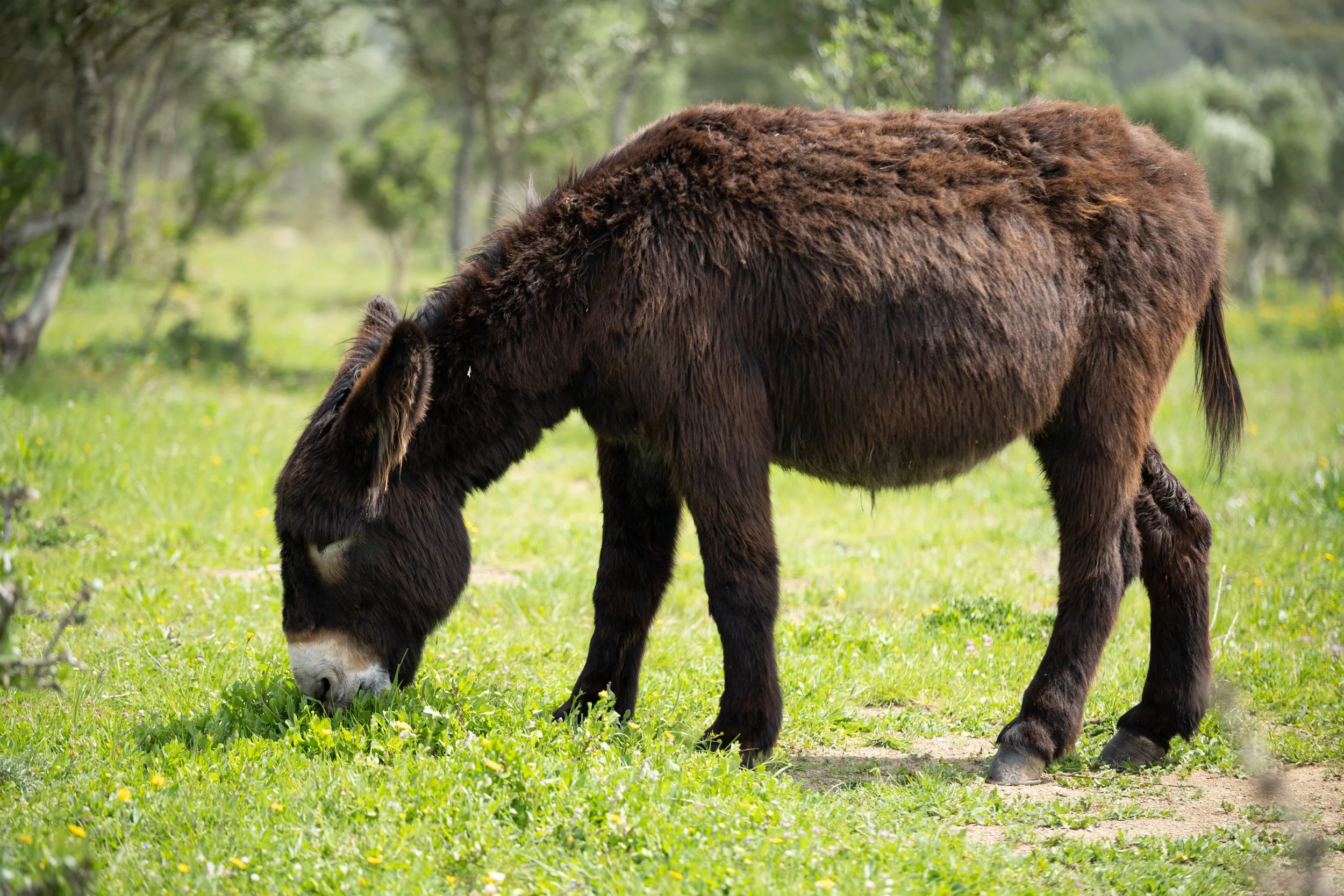 Quinta do Pisão 2022