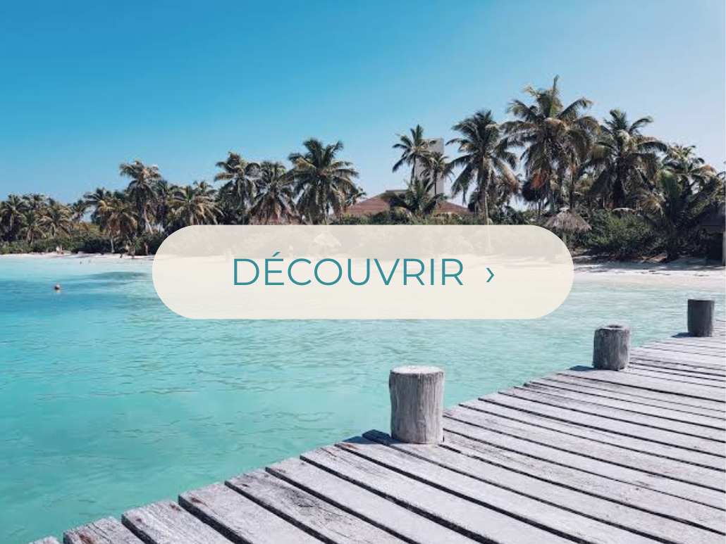 Isla Contoy & Isla Mujeres