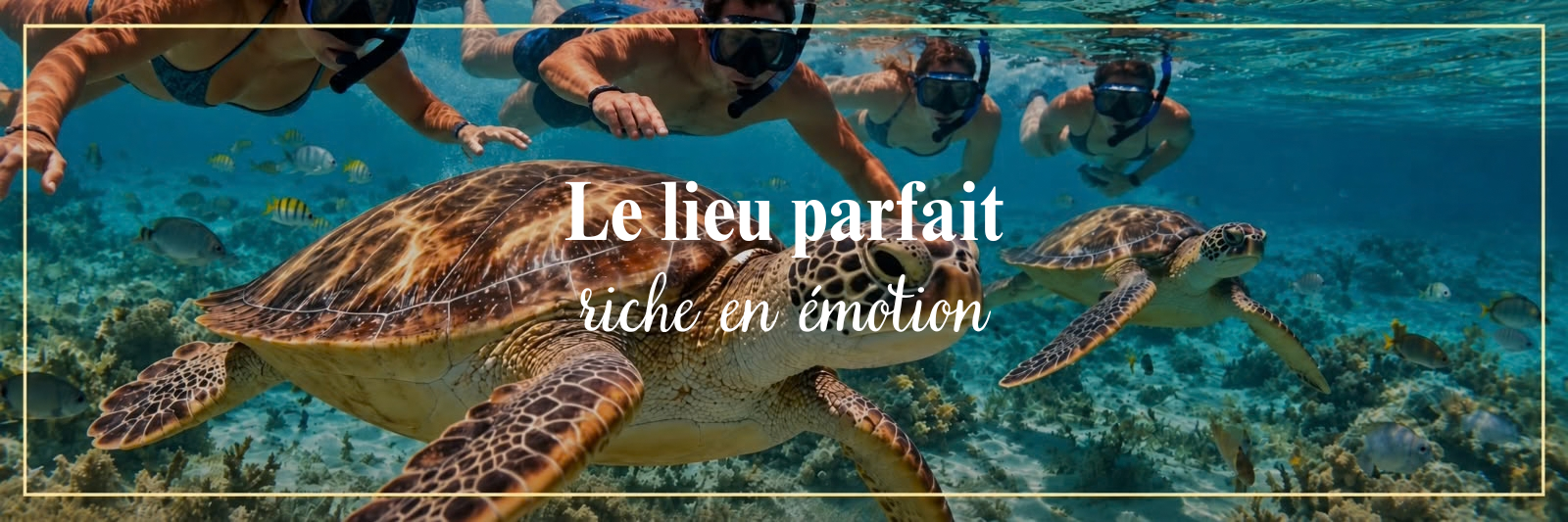 Screenshot d'une page web avec une photo sous-marine de tortues de mer nageant parmi des poissons, avec un texte en français "Le lieu parfait, riche en émotion."