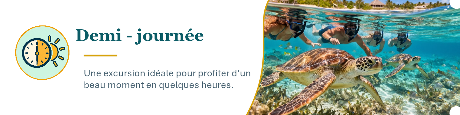 Un groupe de personnes faisant de la plongée avec tuba sous-marine, nageant près de tortues de mer dans l'océan tropical, avec une plage en arrière-plan.