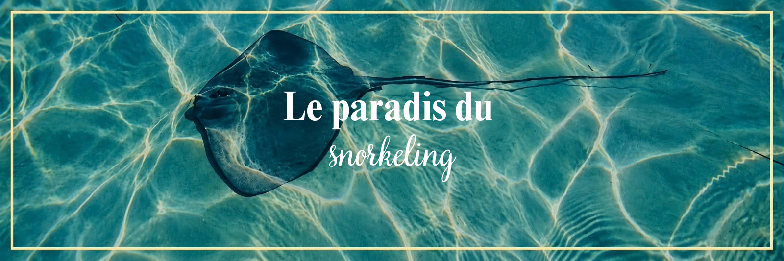 Filet de plongée dans l'eau turquoise avec le texte "Le paradis du snorkeling" en superposition.