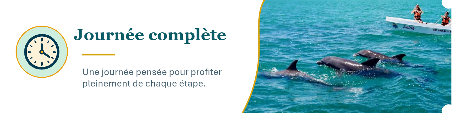 Une illustration d'une journée complète dédiée à profiter de chaque étape, avec une image de dauphins nageant dans la mer à côté d'un bateau.