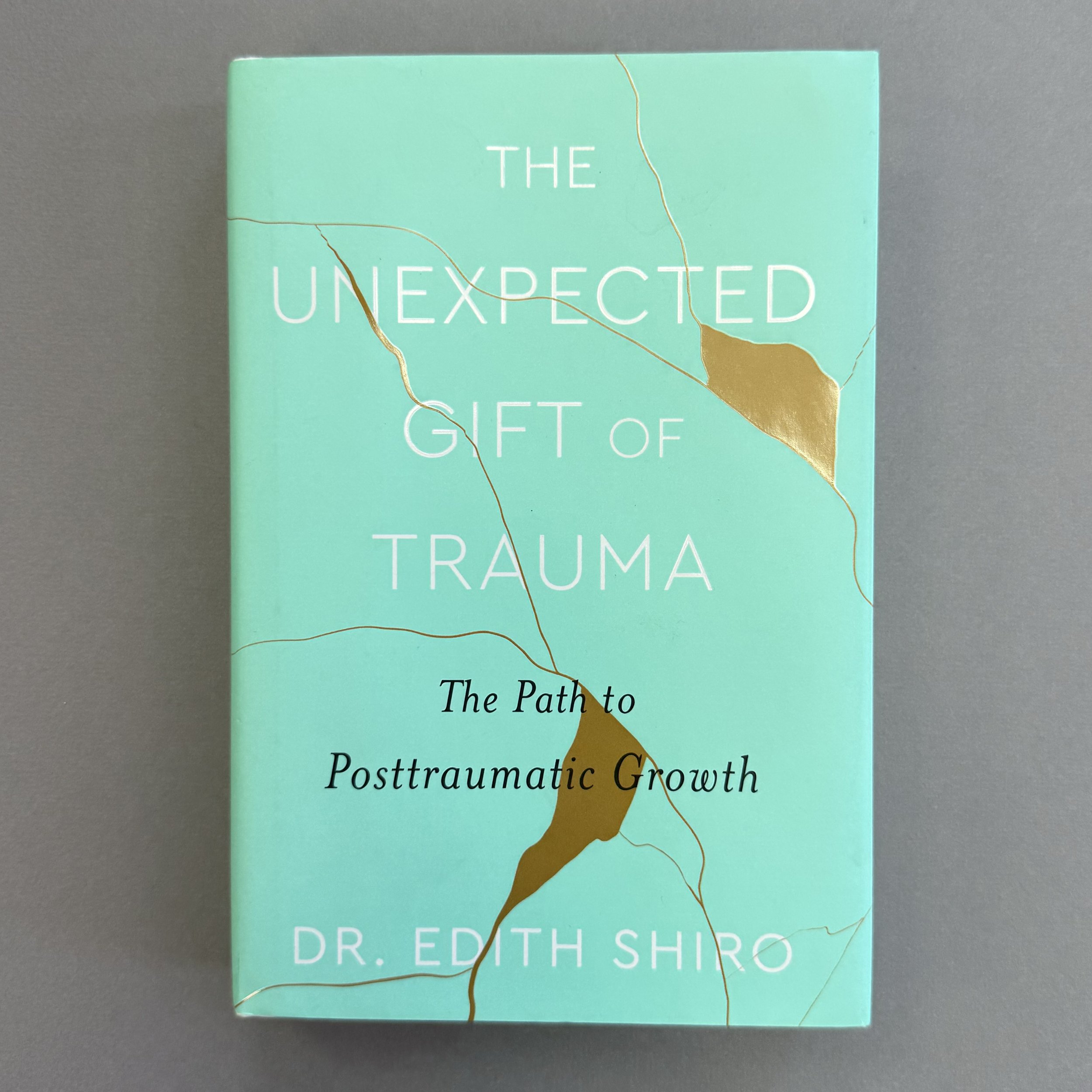 The Unexpected Gift of Trauma, Dr. Edith Shapiro, Harvest 2023