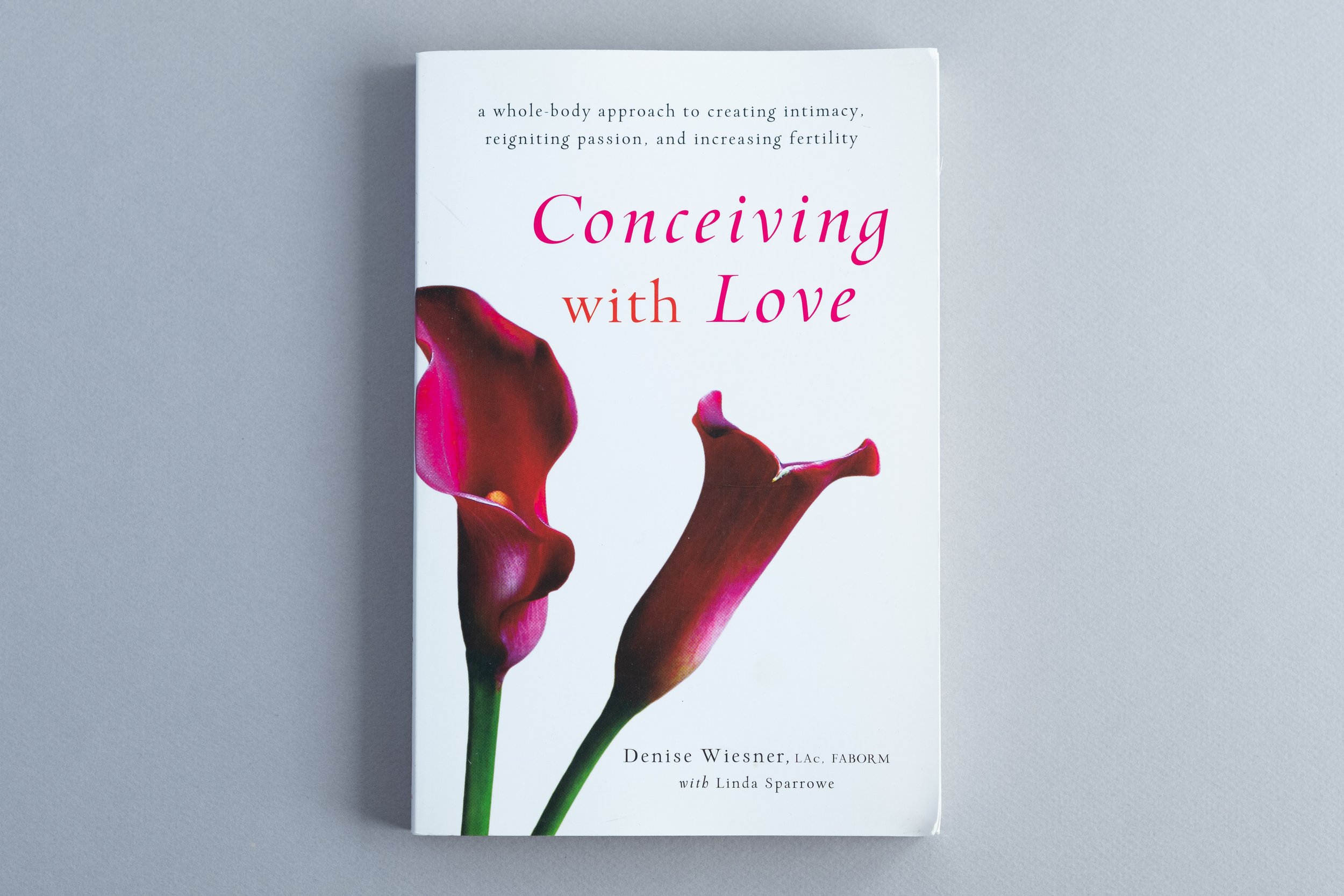  Conceiving with Love, Denise Wiesner, Shambhala Publications 2019 