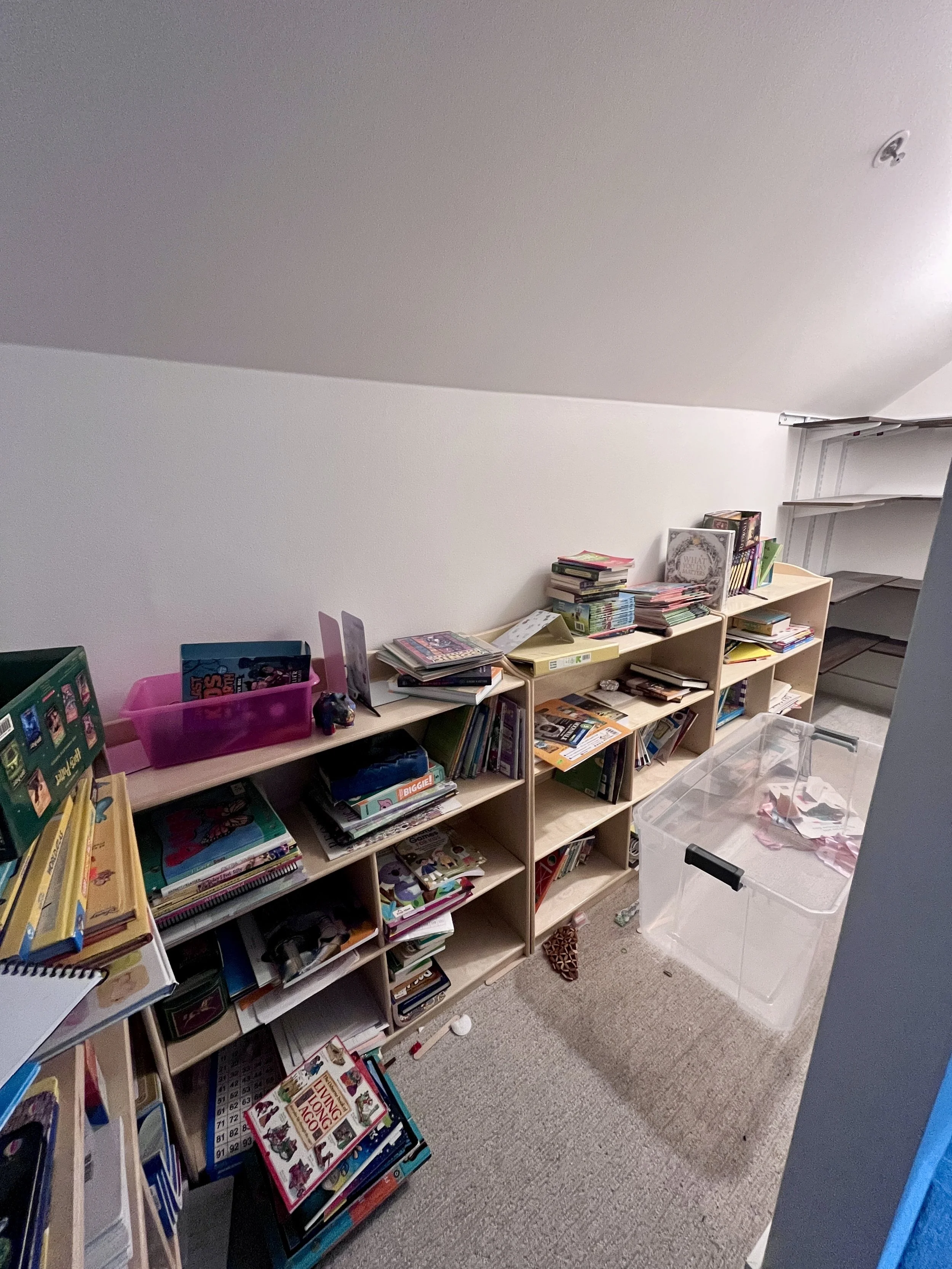 BEFORE: Book Storage