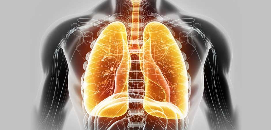 Chinese Body Clock: Best Time of Day for the Lungs