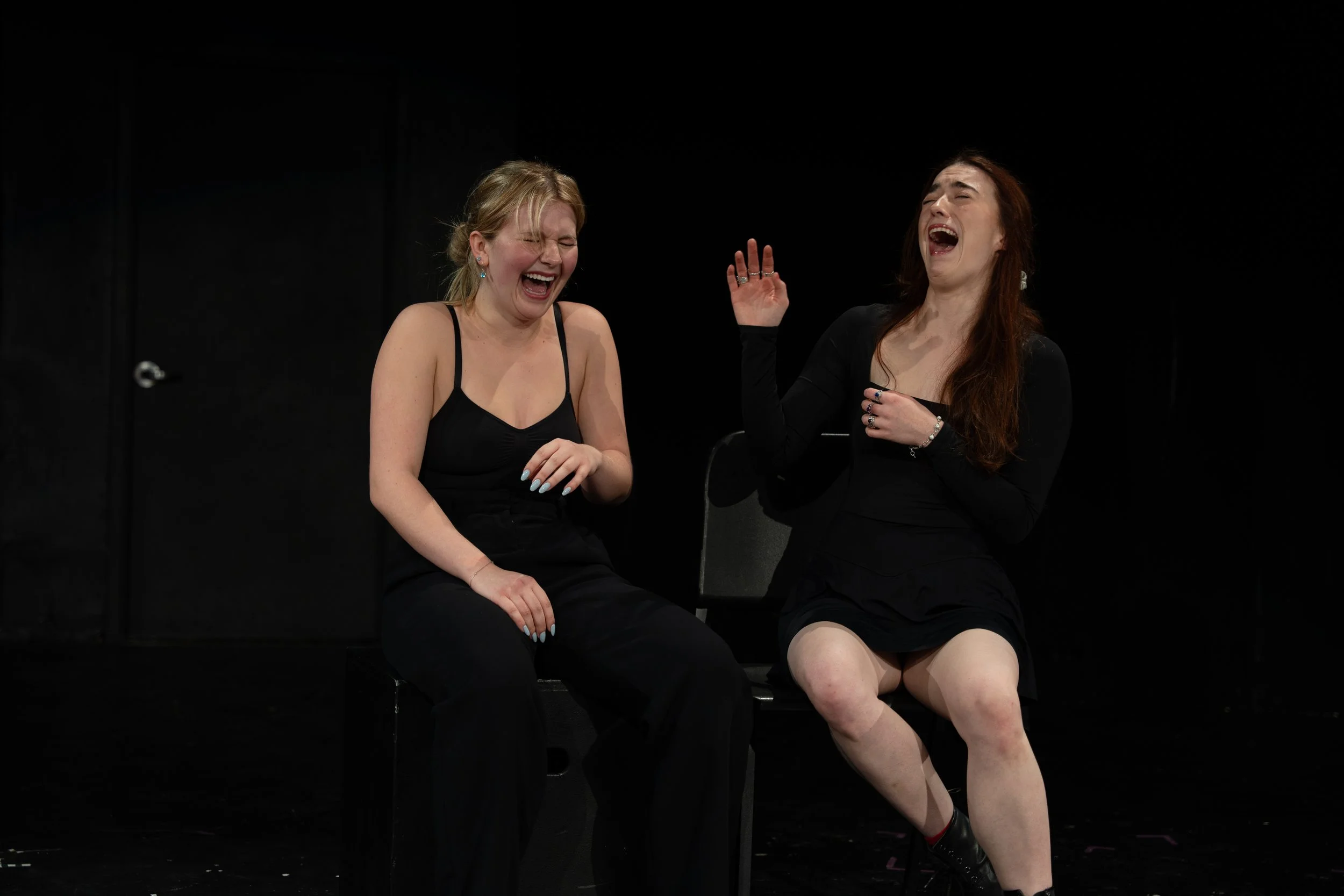 Lillian Devlin Senior Thesis