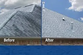 Roof wash 2.jpg