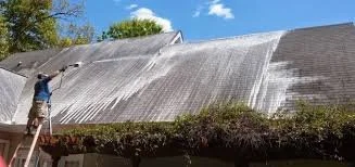 Roof wash 3.jpg