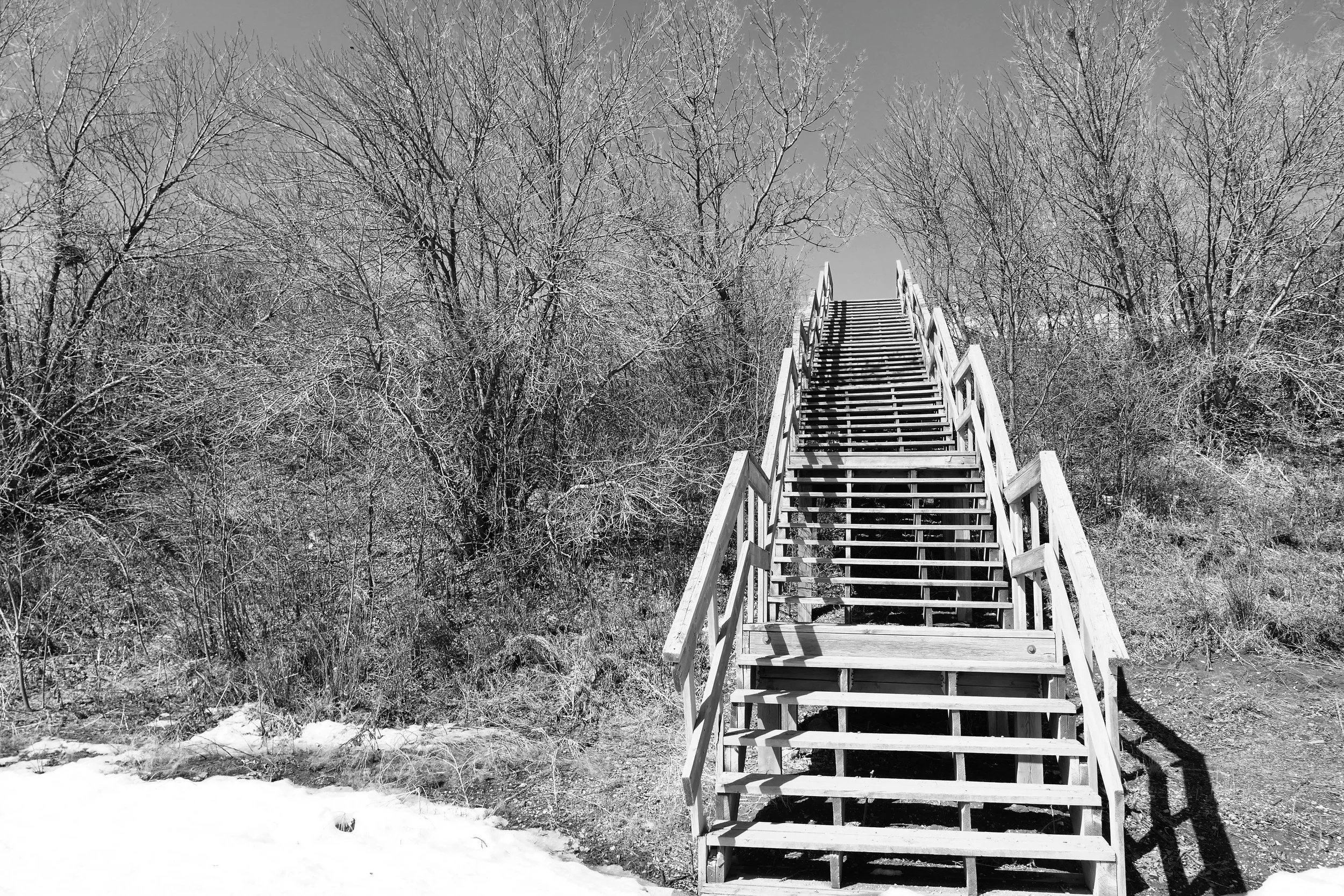 _260423_Stairs2_18x12.jpg