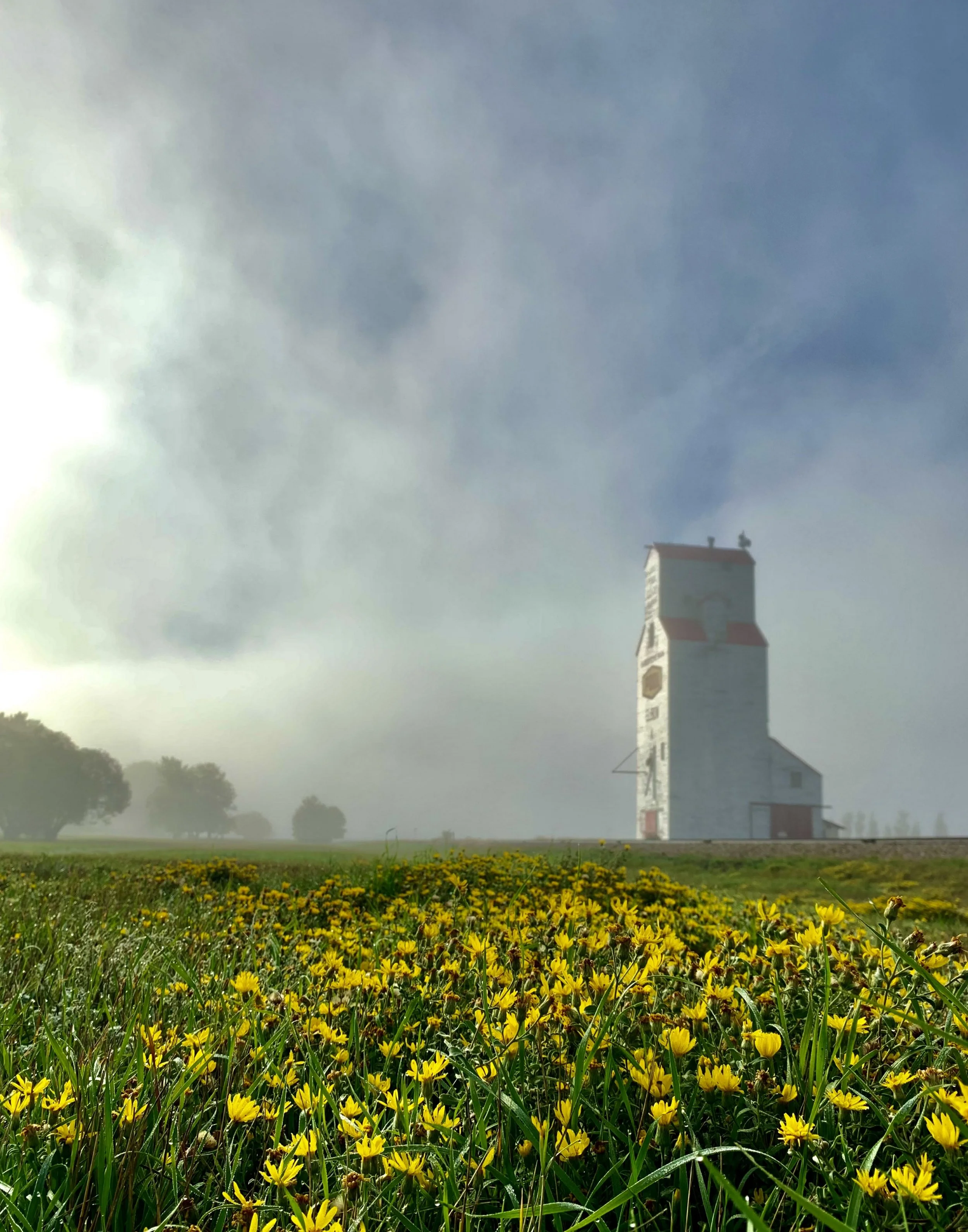 _005_Elevator&YellowFlowers.jpg