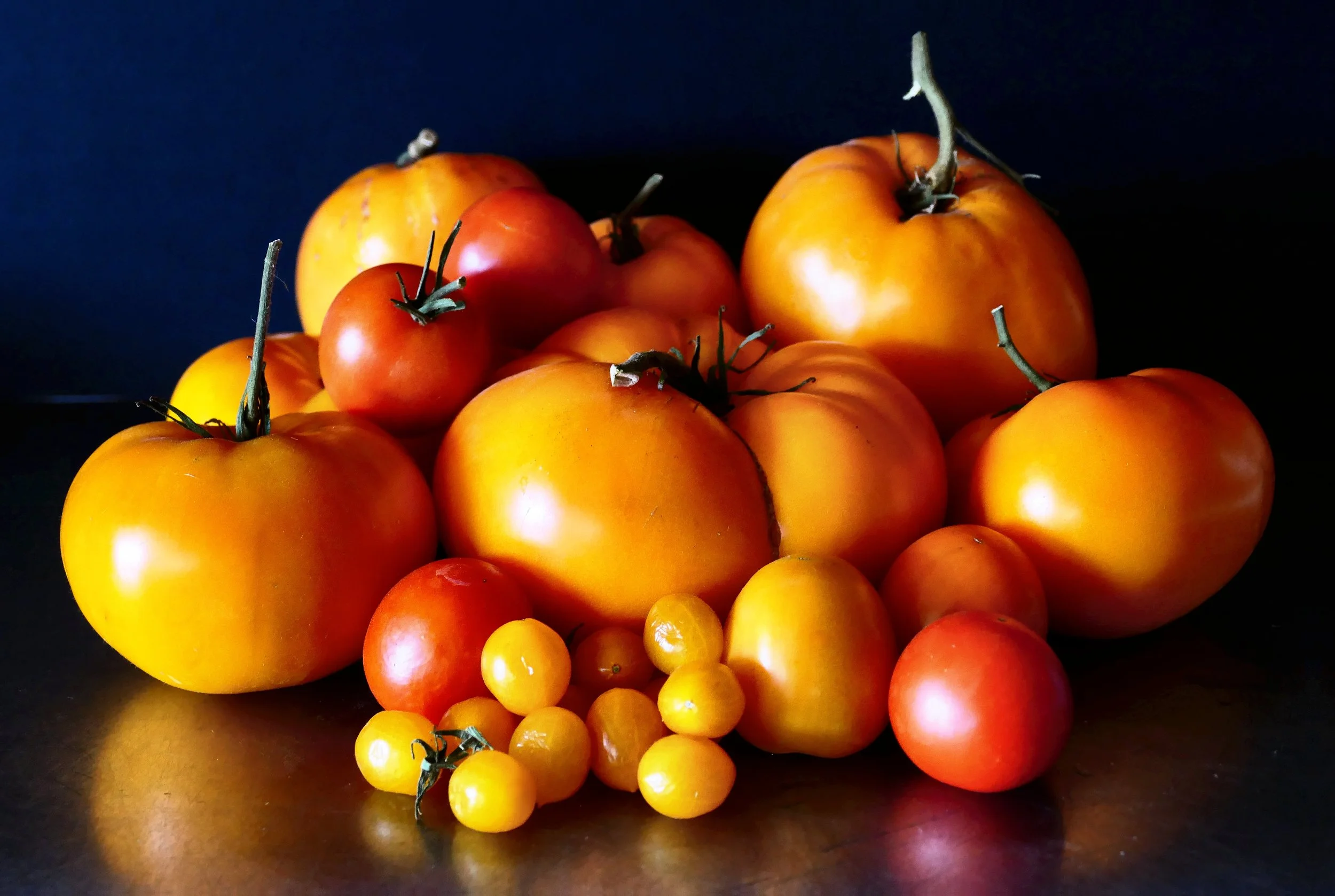 _260301_Tomatoes_18x12.jpg