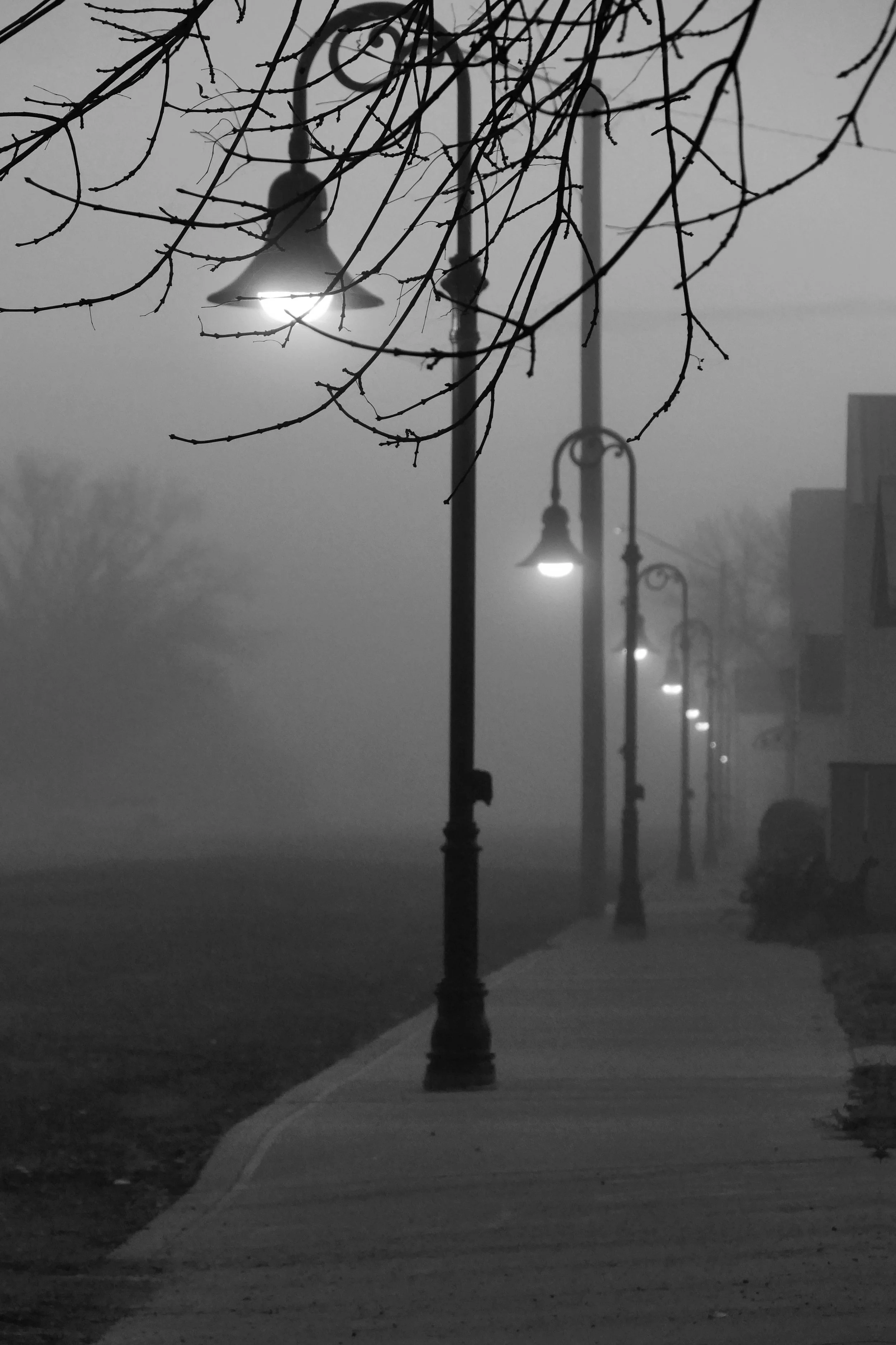 _251020_FoggyMorningSKStreet_B&W_12x18.jpg