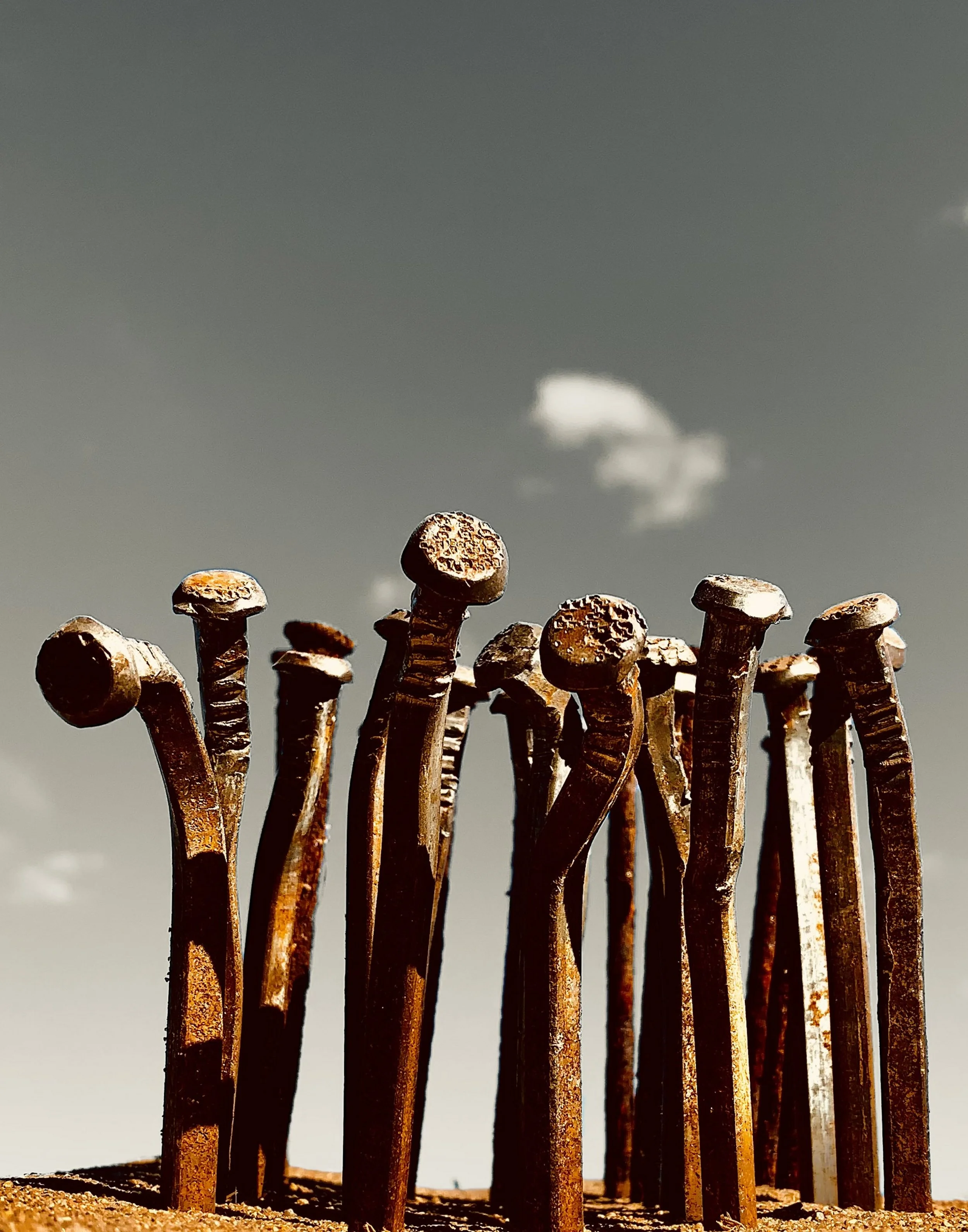 Spike & The Rusty Nails