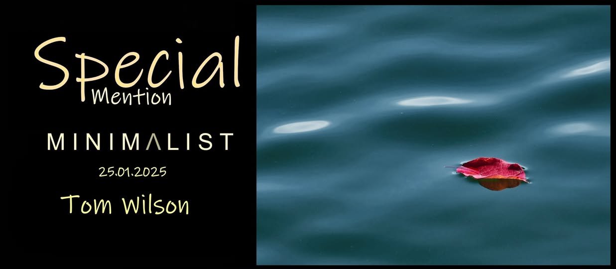 _260413_503807017_3915379135389231_4265921101052821011_n.jpg